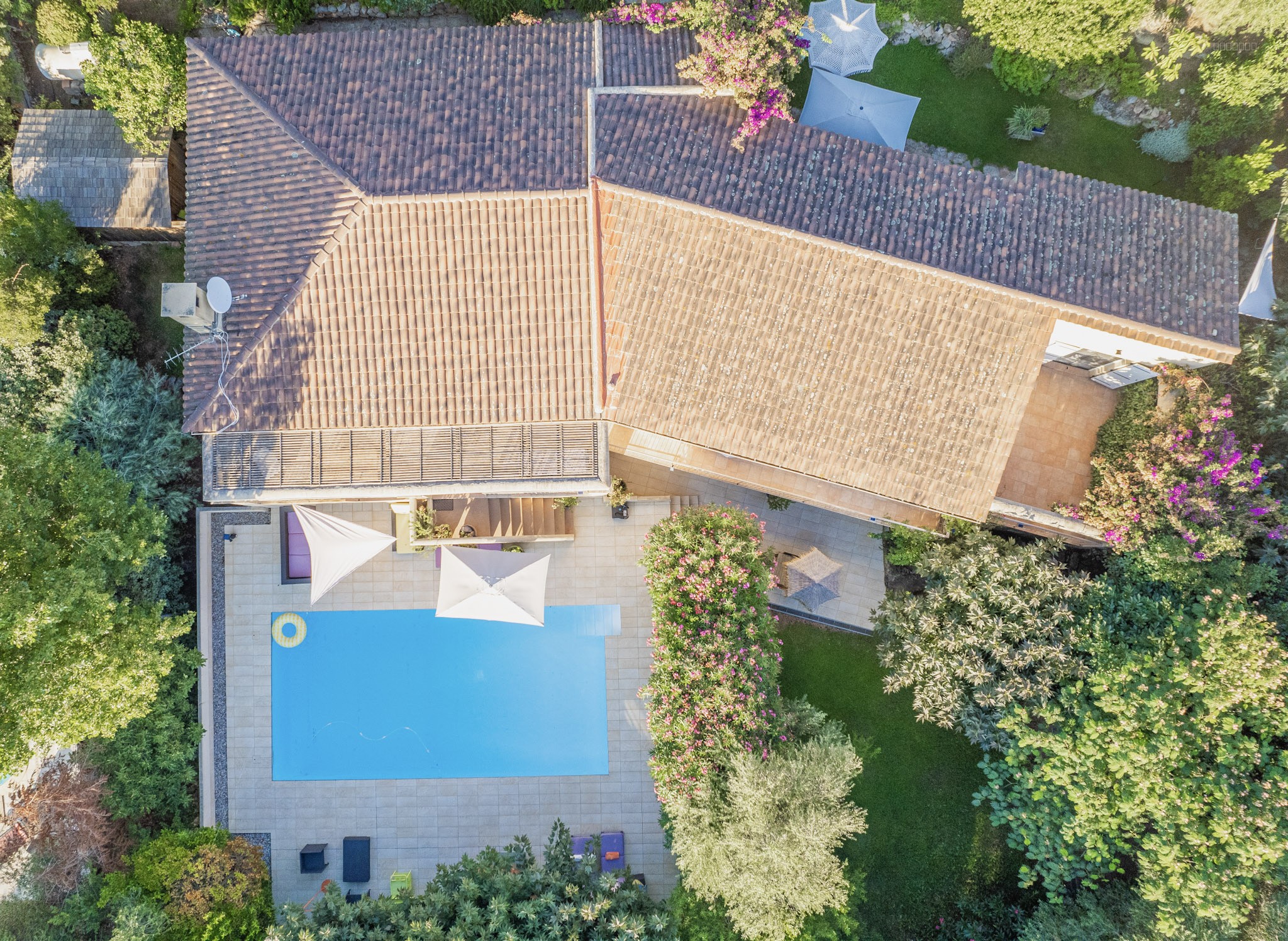 Villa avec magnifique jardin et piscine, centre de Porto Vecchio accessible à pied — photo 5
