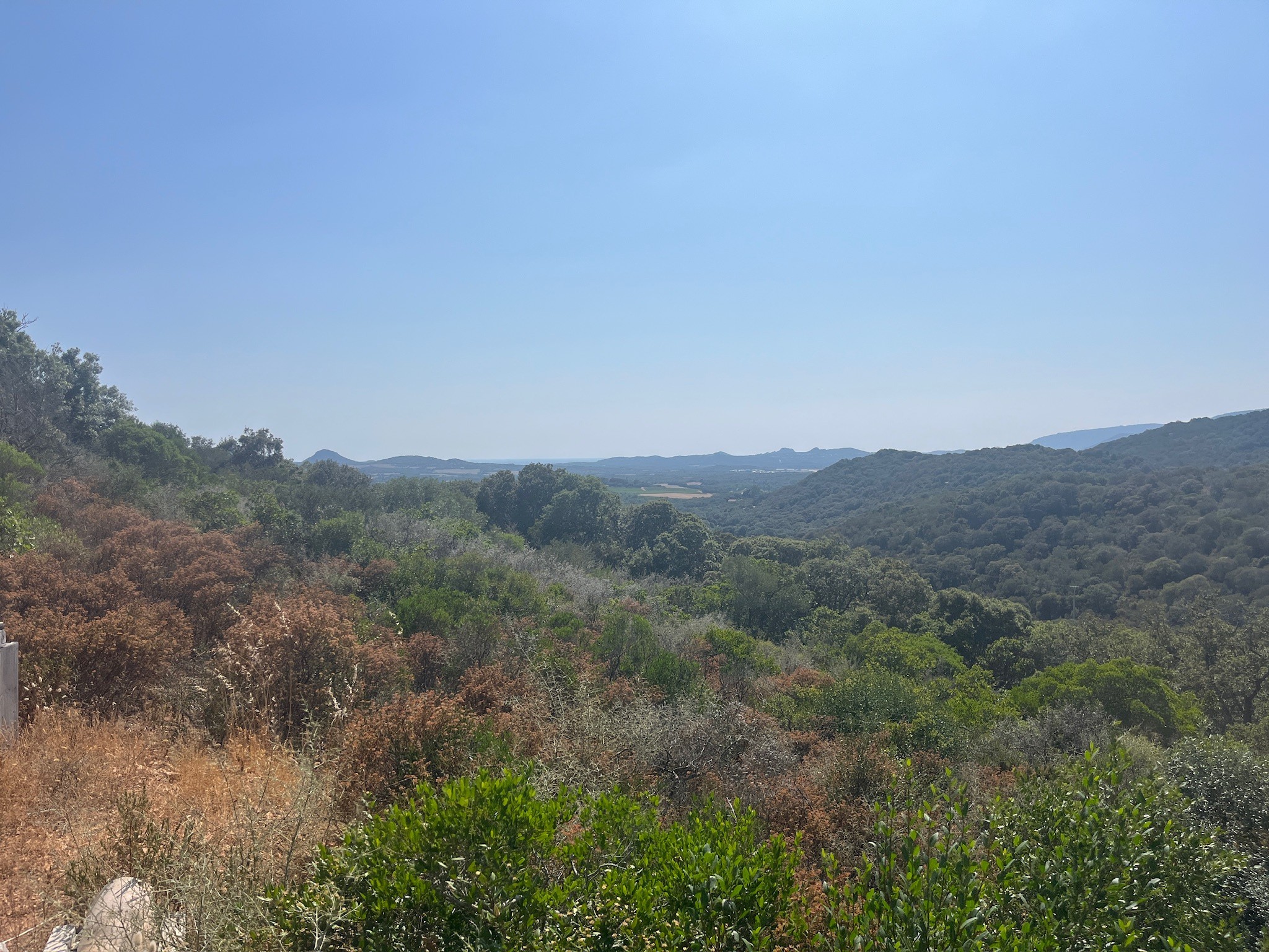 Grand terrain avec belle vue dégagée à Figari — photo 3