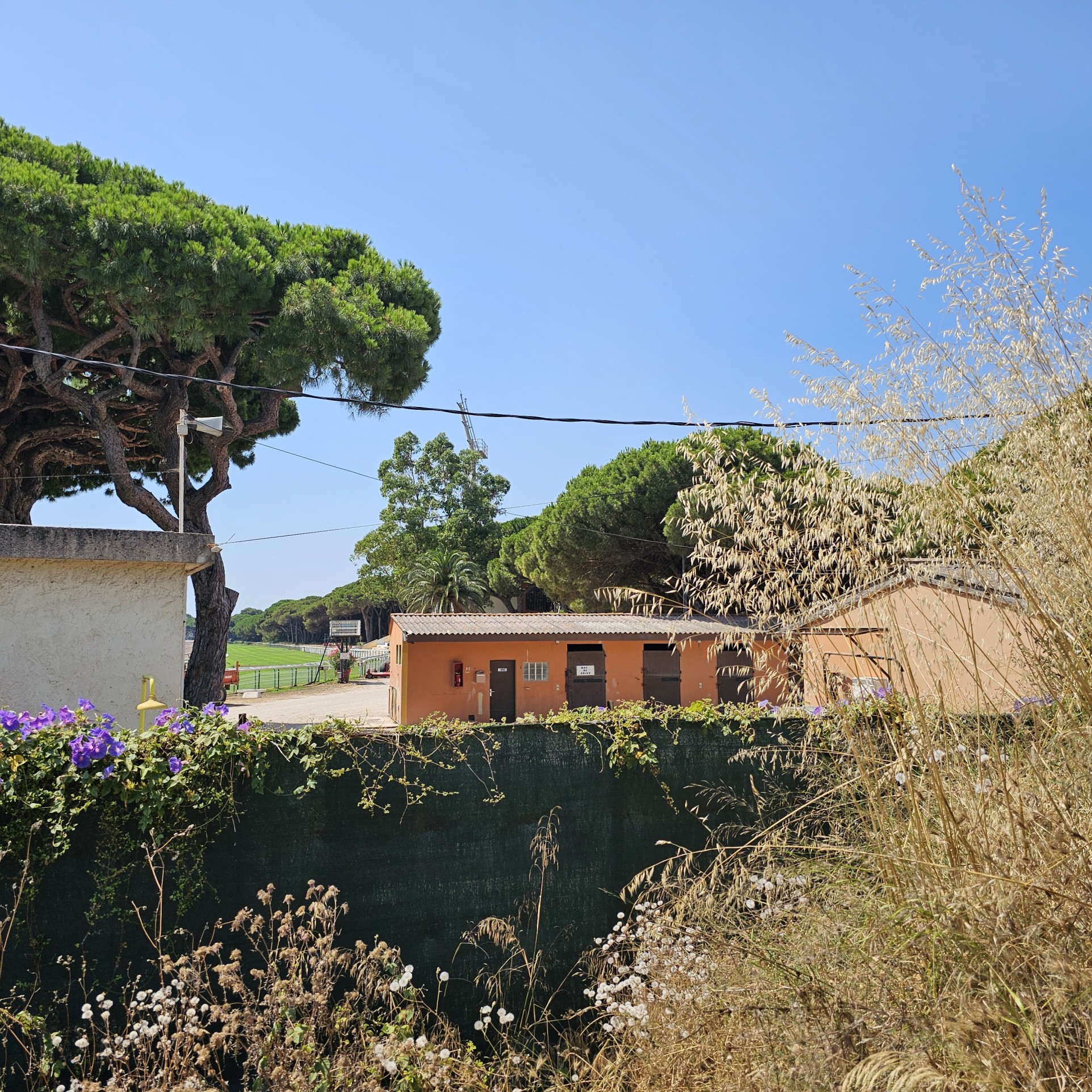 Hyères - Terrain constructible - 1 408m2 - 352m2 d'emprise possible. — photo 2
