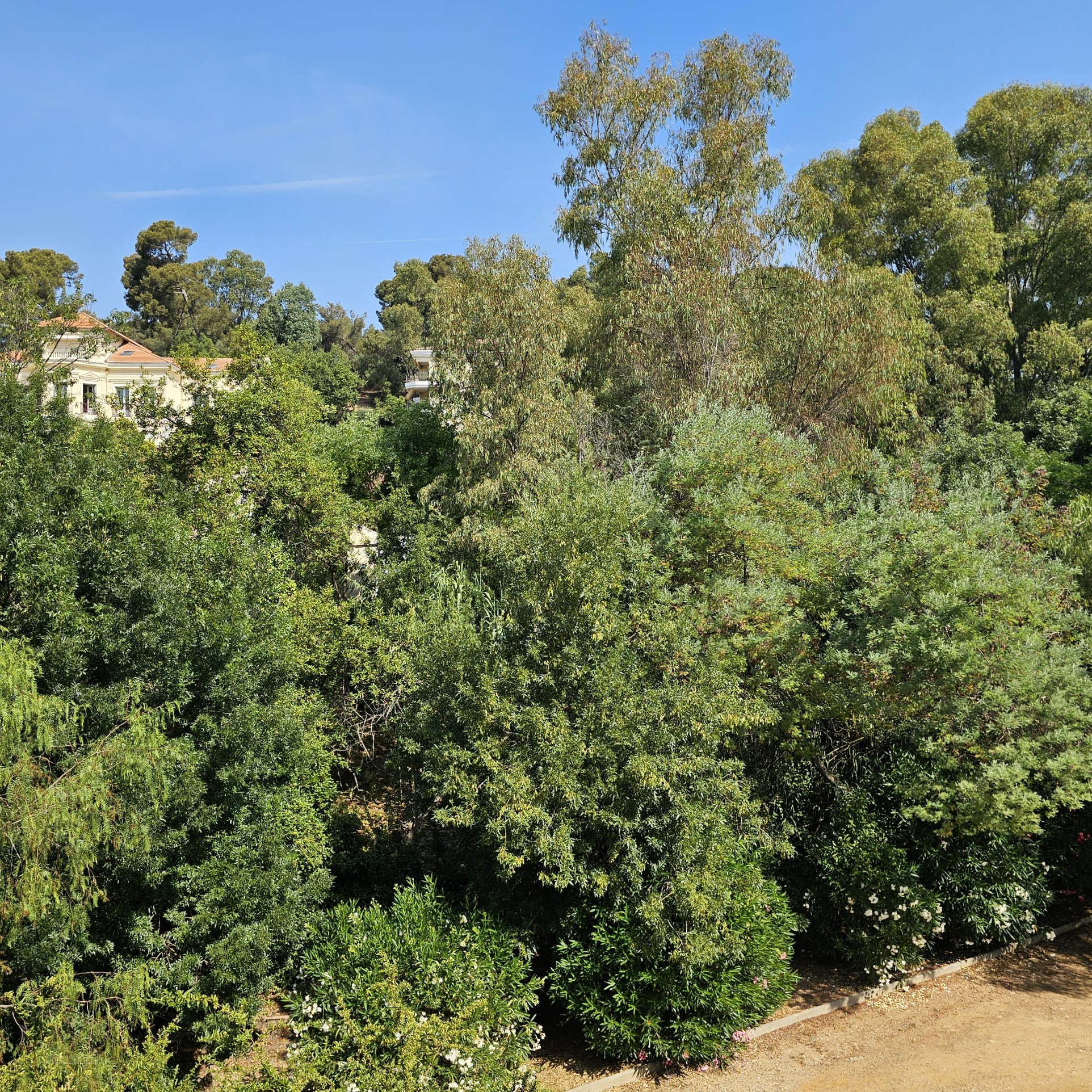 Hyères - Terrain constructible - 1 408m2 - 352m2 d'emprise possible. — photo 4