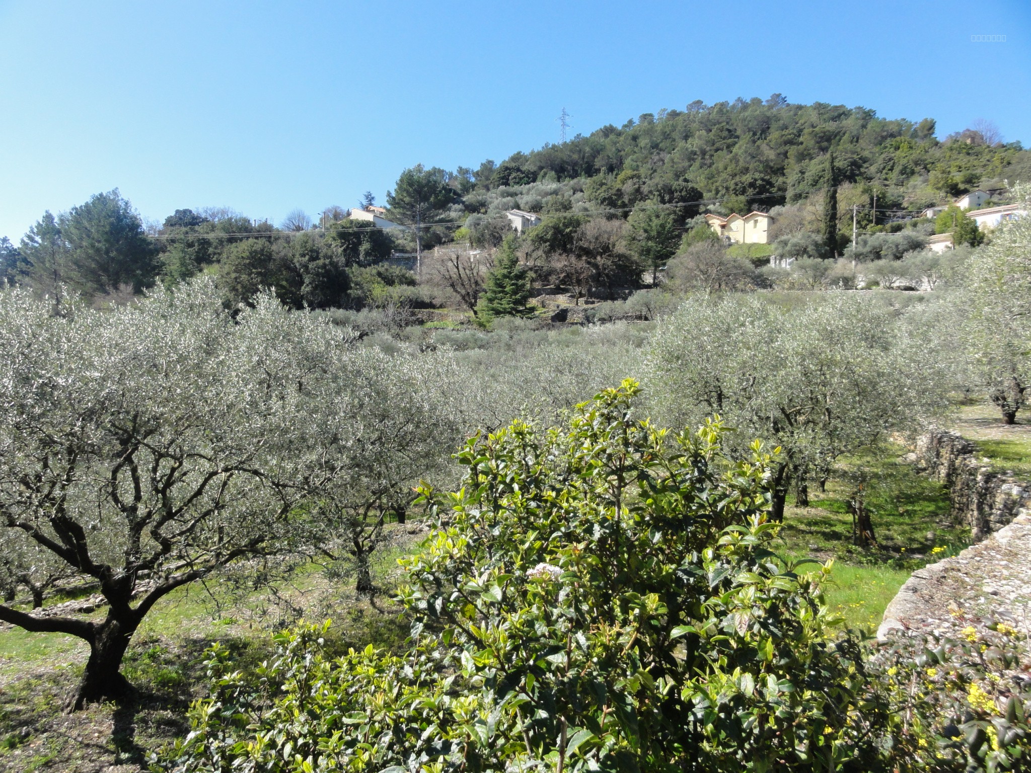 Rousson au calme 2800m2 constructible pour une maison — photo 15