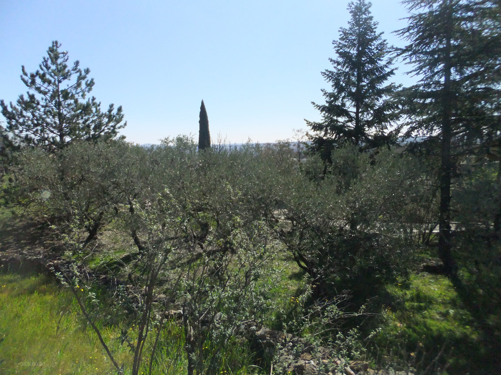 Rousson au calme 2800m2 constructible pour une maison — photo 8