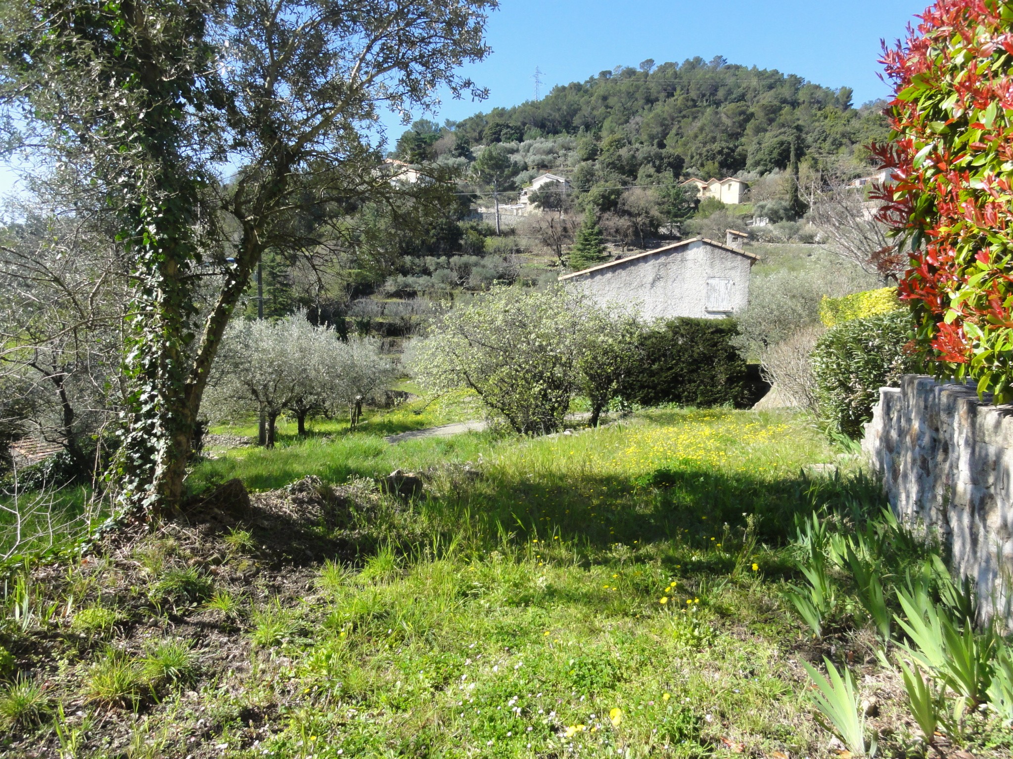 Rousson au calme 2800m2 constructible pour une maison — photo 19