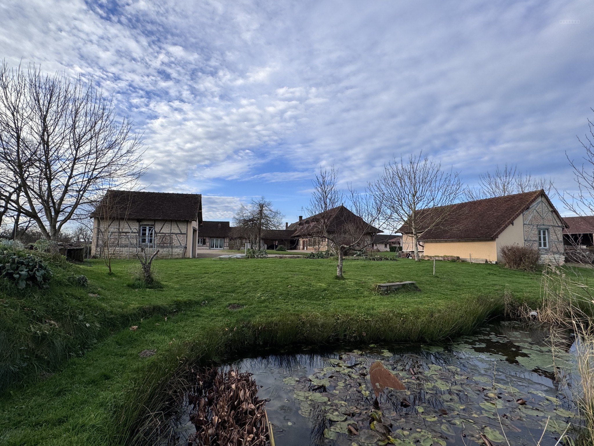 Propriété bressanne rénovée - Gîte et chambres d'hôtes — photo 5