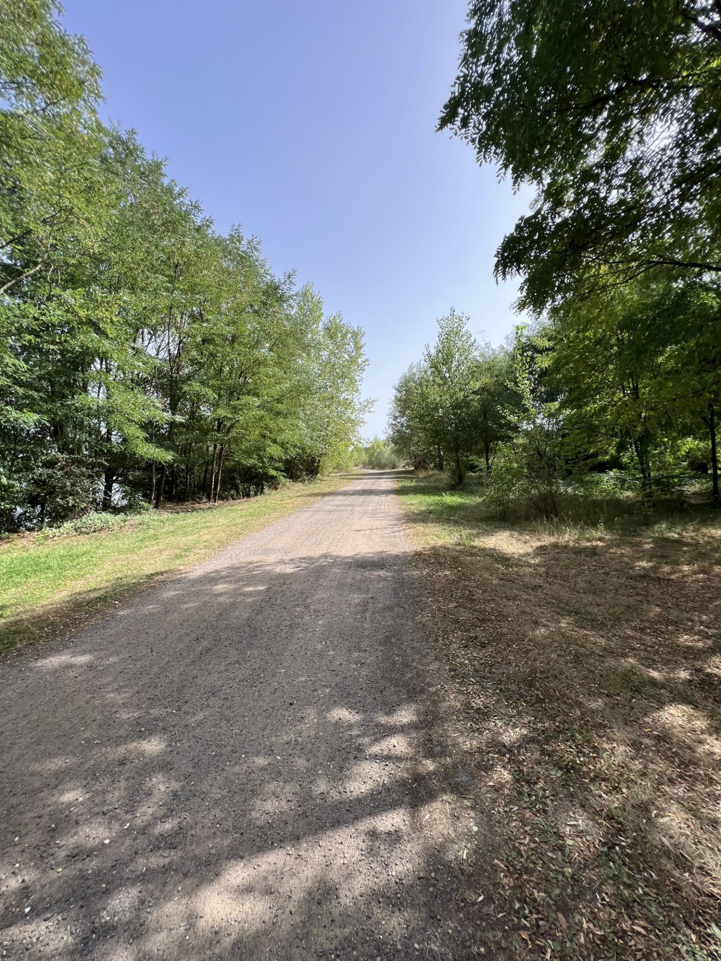 Étang de pêche de 10 hectares   Opportunité rare — photo 4