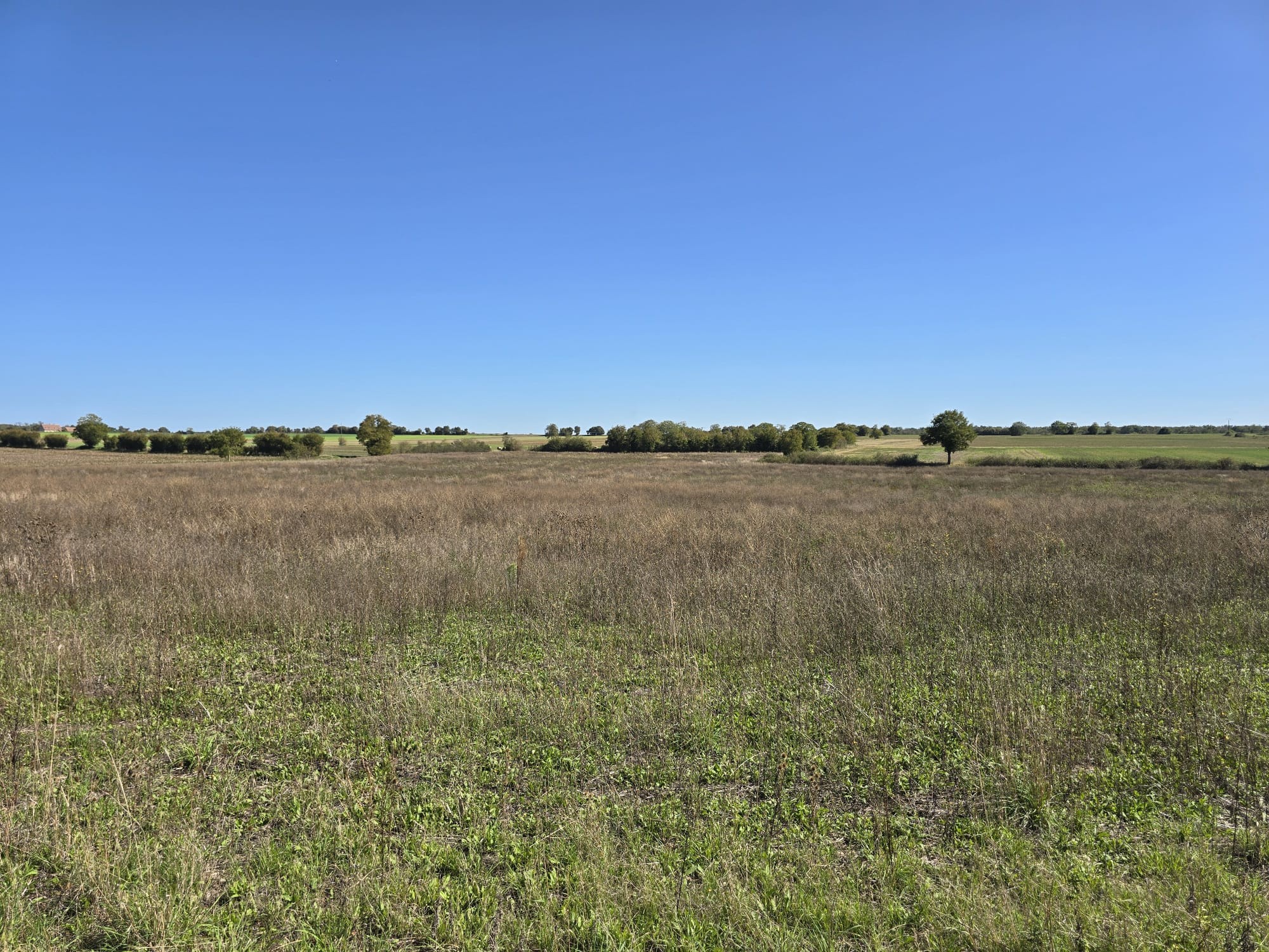 Propriété agricole de 82 hectares avec bâtiments et deux habitations   Secteur Thaumiers / Bannegon / Neuilly-en-Dun (Cher   limite Allier) — photo 4