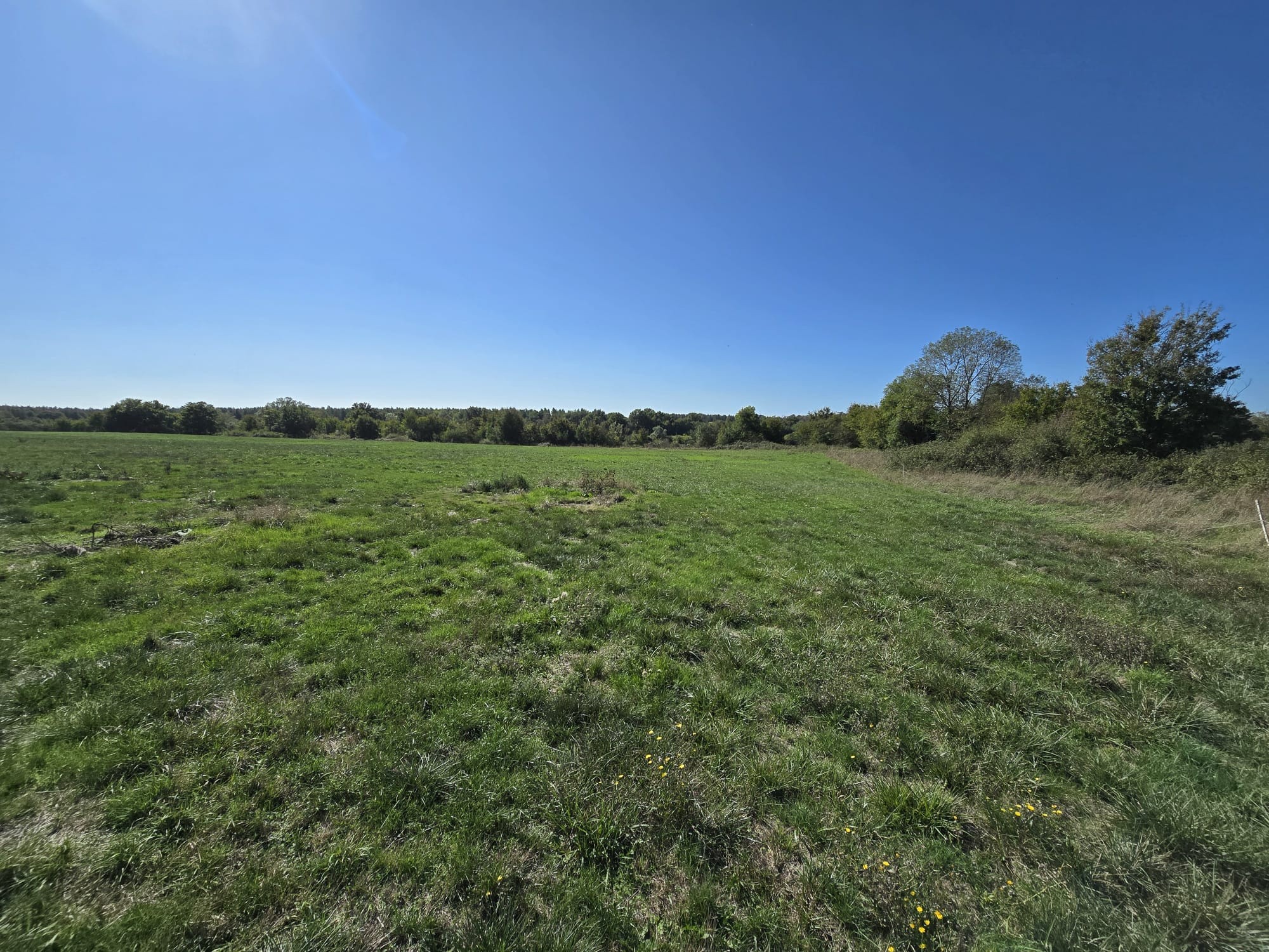 Propriété agricole de 82 hectares avec bâtiments et deux habitations   Secteur Thaumiers / Bannegon / Neuilly-en-Dun (Cher   limite Allier) — photo 2