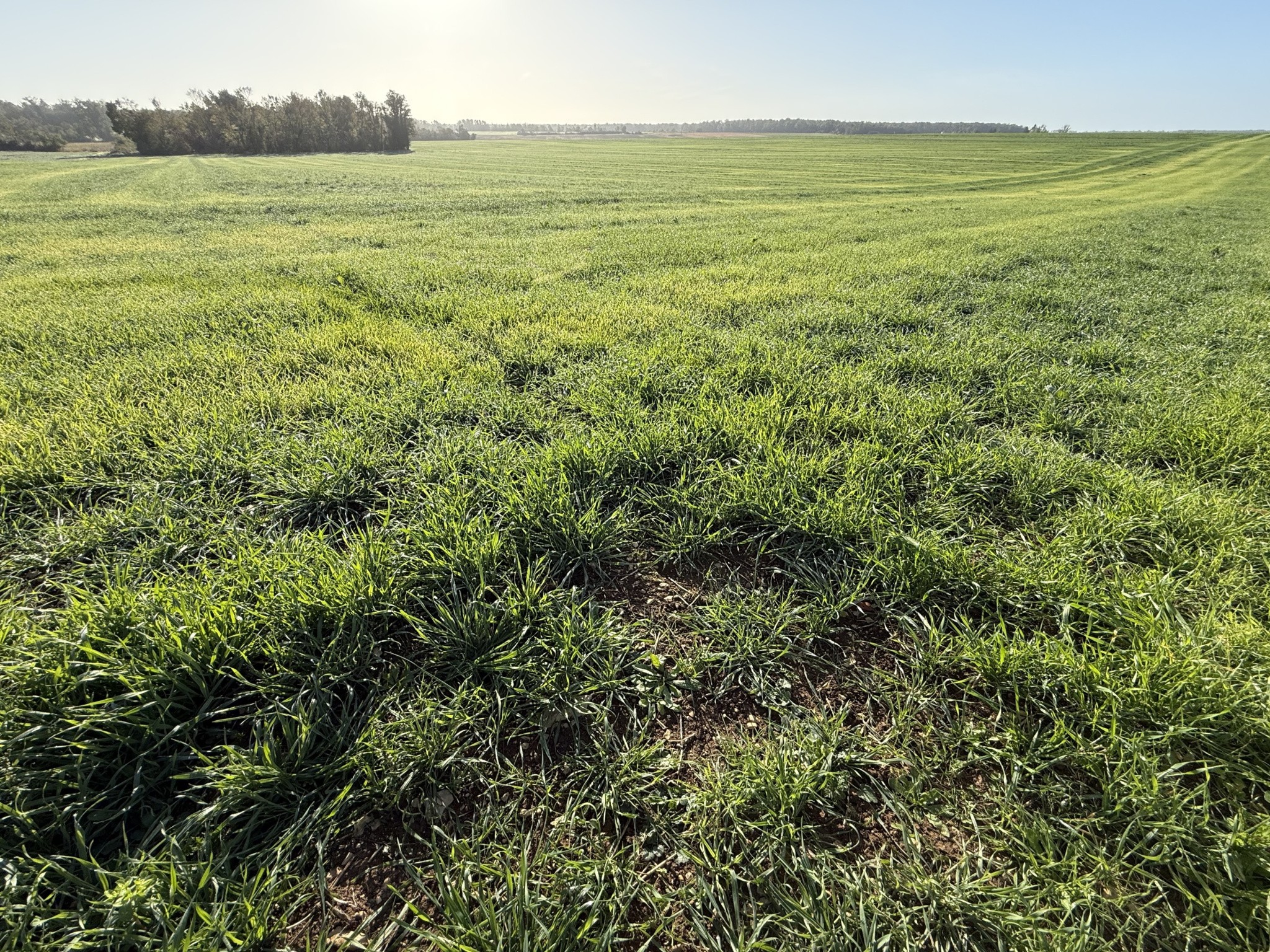 Terres agricoles, Produit d’investissement