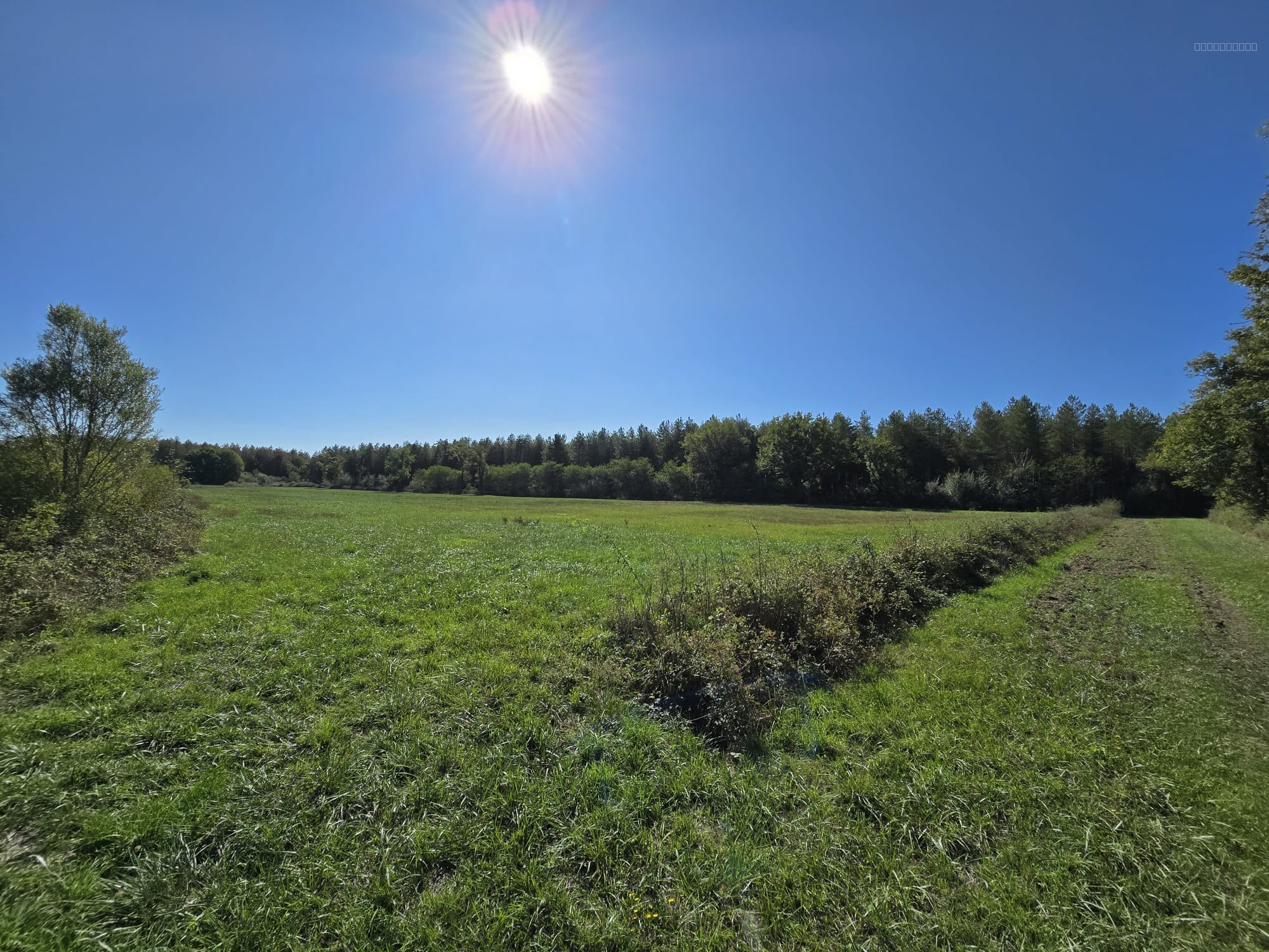 Propriété agricole de 82 hectares avec bâtiments et deux habitations   Secteur Thaumiers / Bannegon / Neuilly-en-Dun (Cher   limite Allier) — photo 3