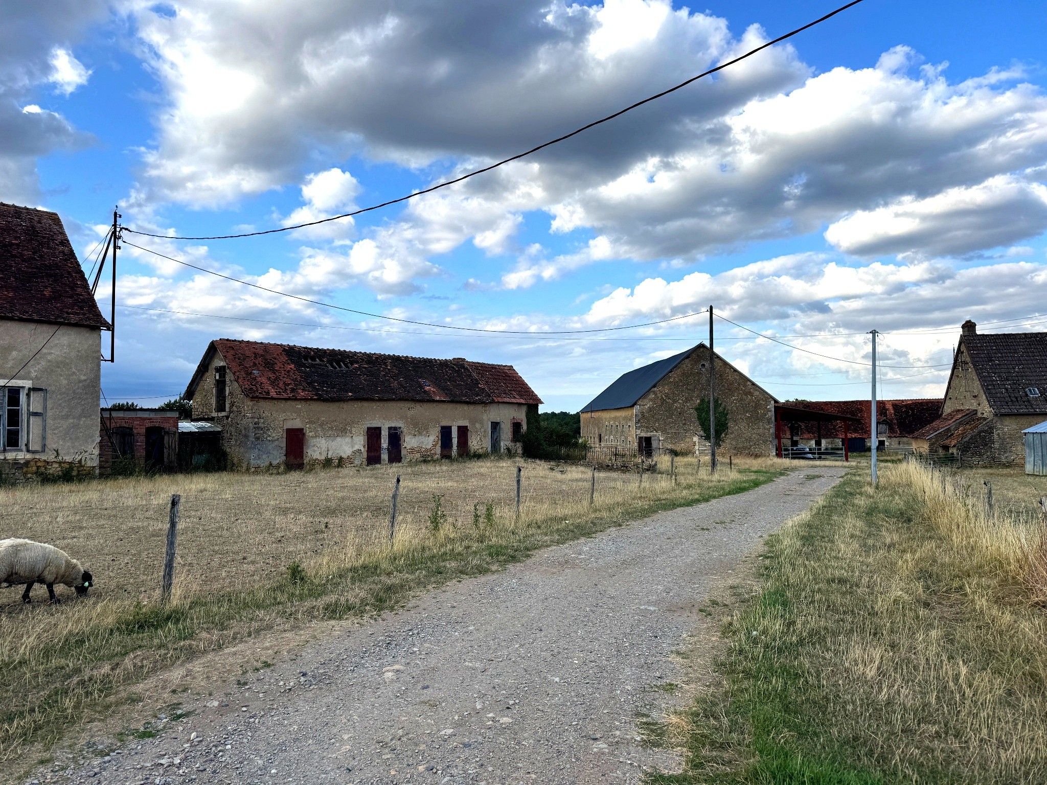 Exploitation agricole d’élevage   108 hectares dans le Boischaut Sud (Indre) — photo 7