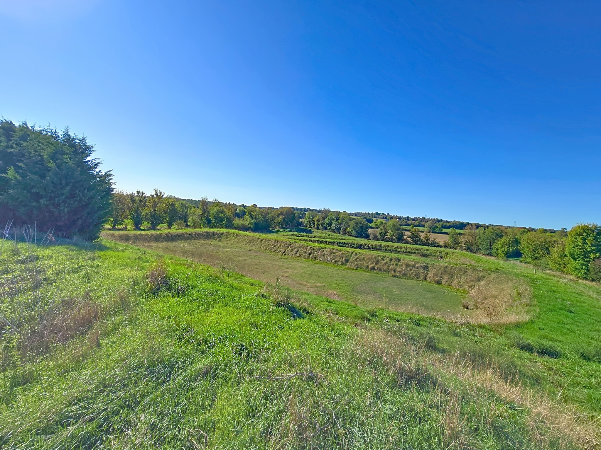 Propriété agricole de 82 hectares avec bâtiments et deux habitations   Secteur Thaumiers / Bannegon / Neuilly-en-Dun (Cher   limite Allier) — photo 6