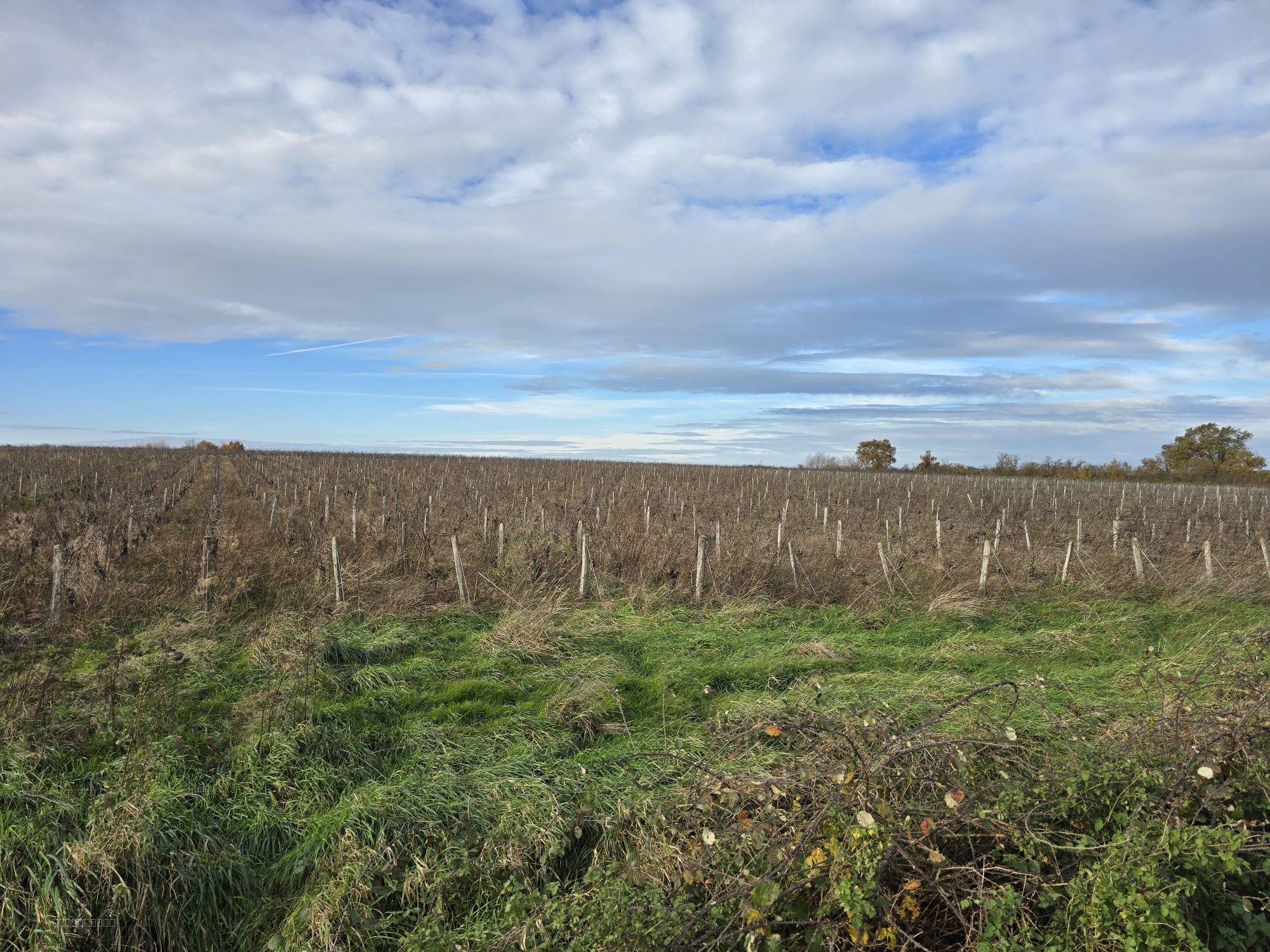 Terrains viticoles à vendre 3,19 ha en AOC Châteaumeillant Centre-Val de Loire — photo 2