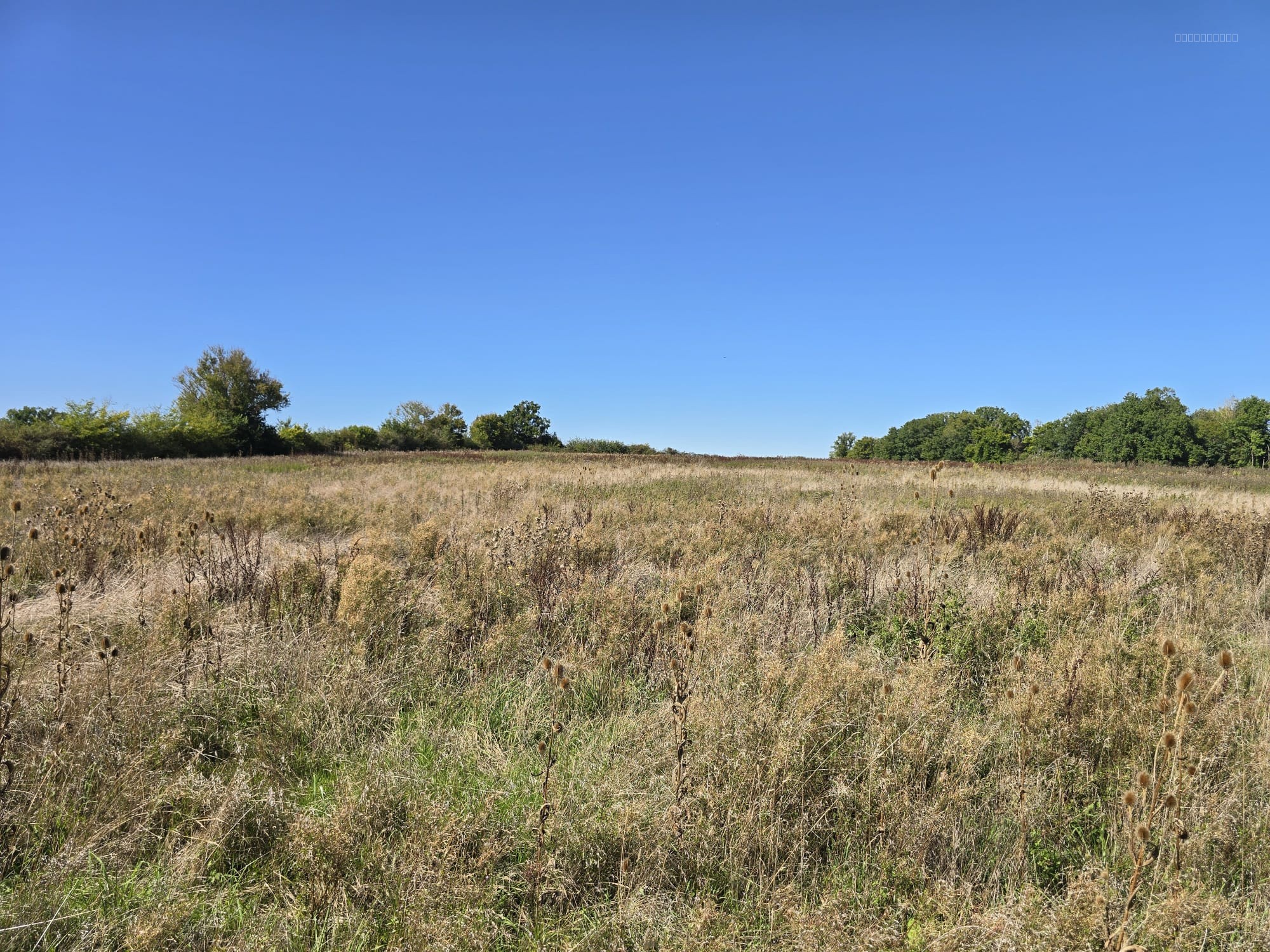 Terres agricoles à vendre dans le Cher   82 ha libres en exclusivité Terres & Domaine — photo 9