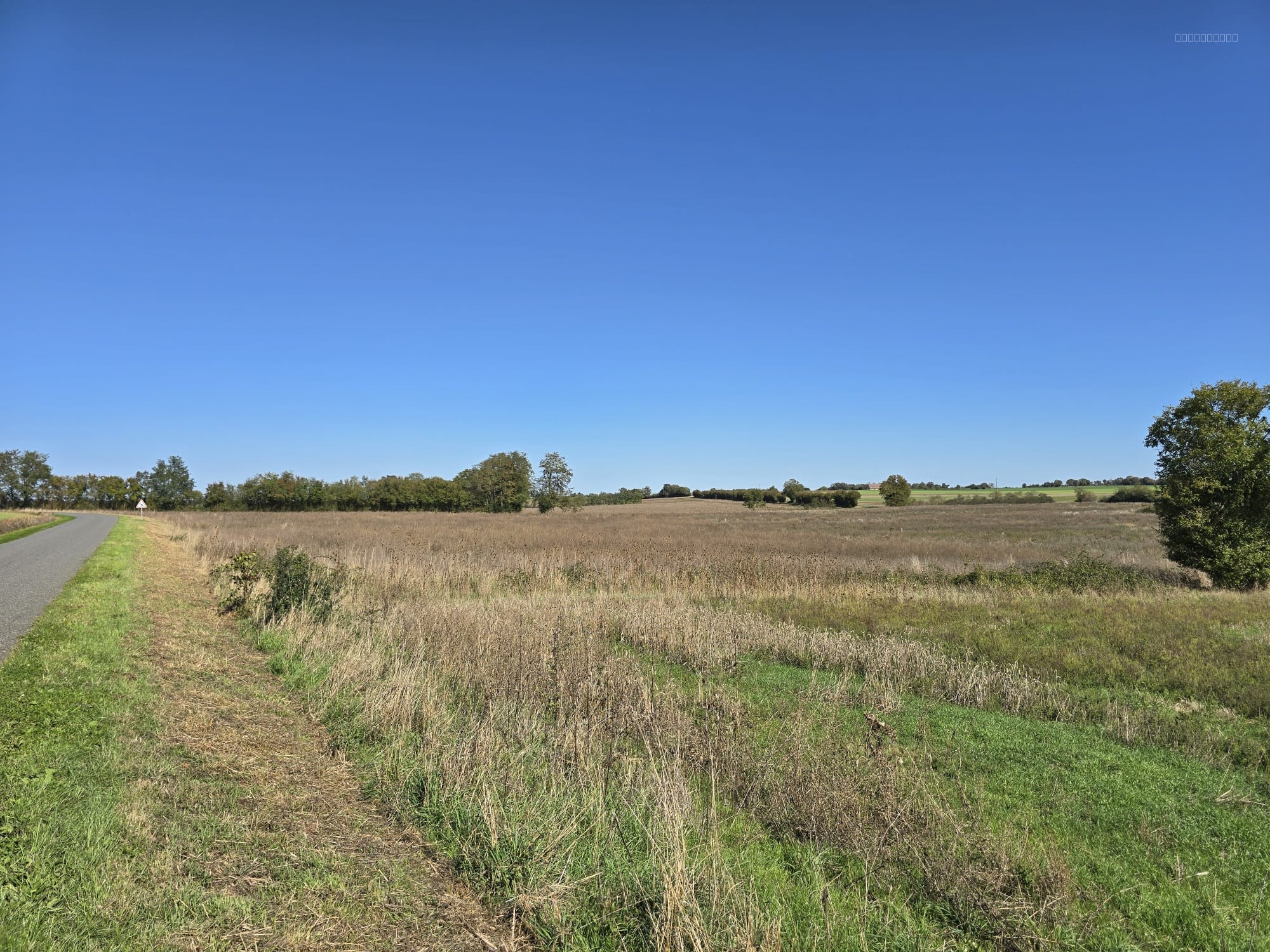 Terres agricoles à vendre dans le Cher   82 ha libres en exclusivité Terres & Domaine — photo 7