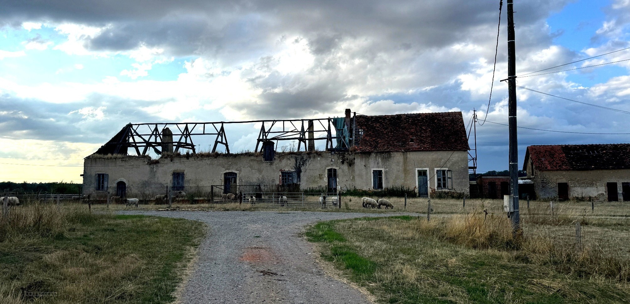 Exploitation agricole d’élevage   108 hectares dans le Boischaut Sud (Indre) — photo 8