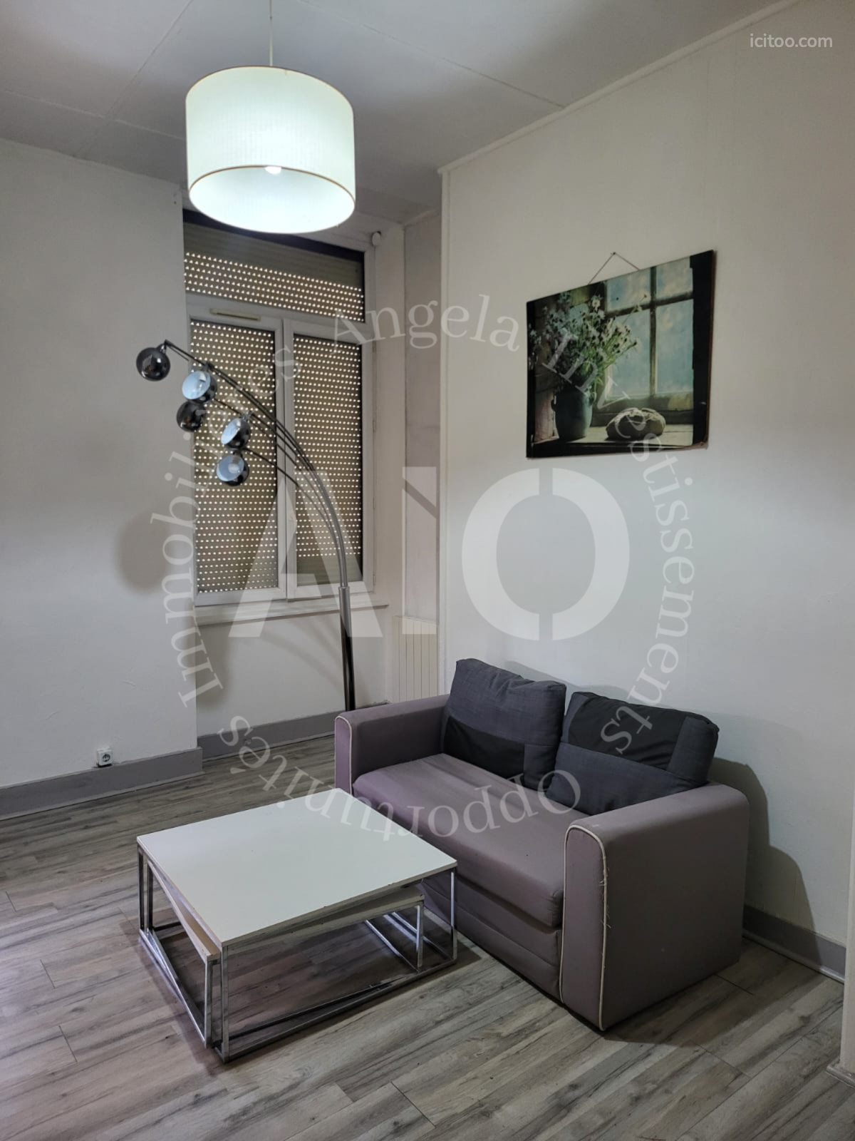 Appartement - 43 m² - Caluire-et-Cuire — photo 3