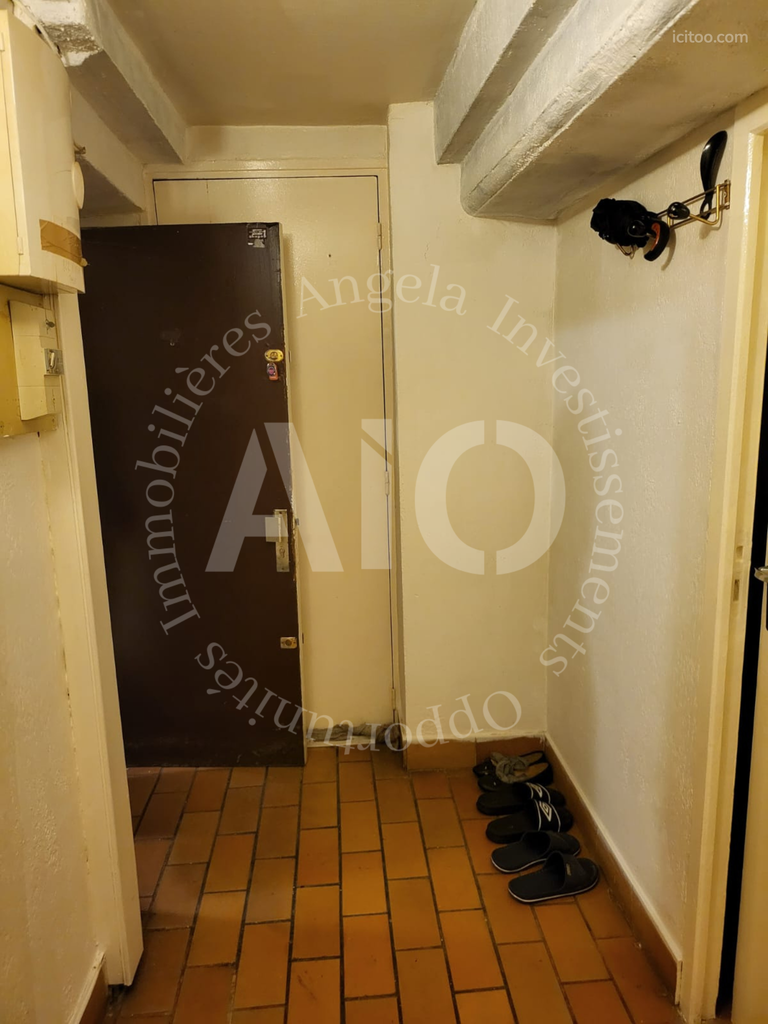 Couloir d'un appartement à Caluire-et-Cuire avec une porte marron, des chaussures au sol et un carrelage.