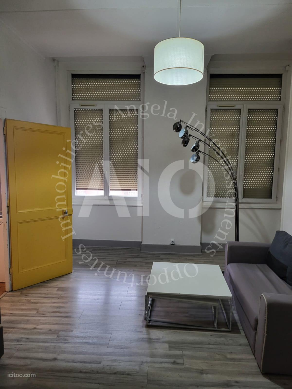 Salon lumineux avec deux fenêtres à volets roulants et canapé, appartement à vendre à Caluire-et-Cuire
