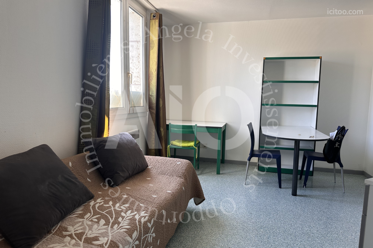 Appartement T2 de 29m2 meublé - Lyon 7 — photo 5