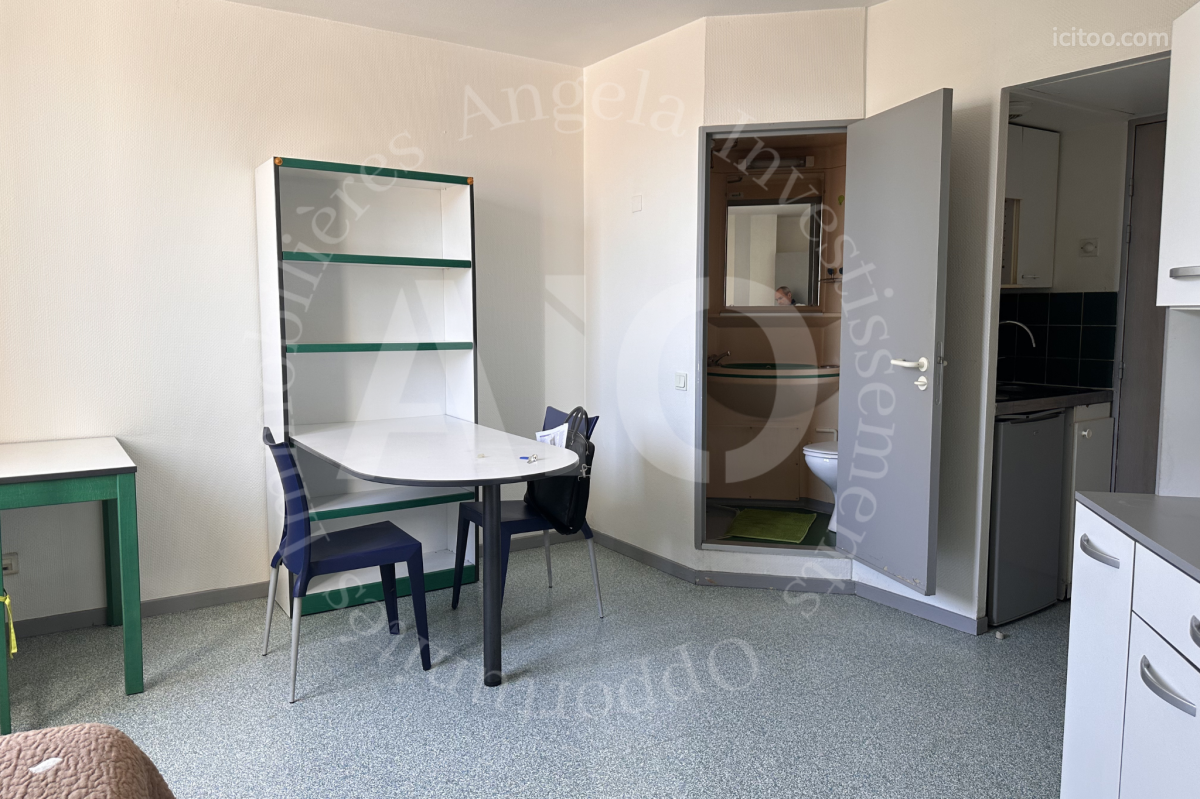 Appartement T2 de 29m2 meublé - Lyon 7 — photo 3