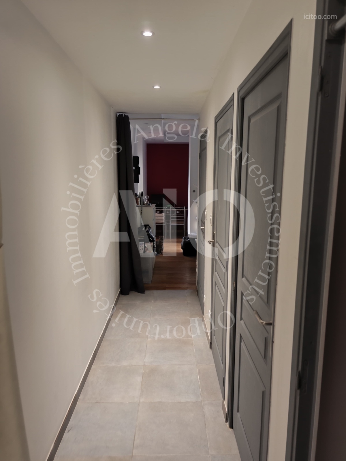 Couloir d'appartement avec plusieurs portes grises et une vue sur une pièce à vivre lumineuse à Lyon