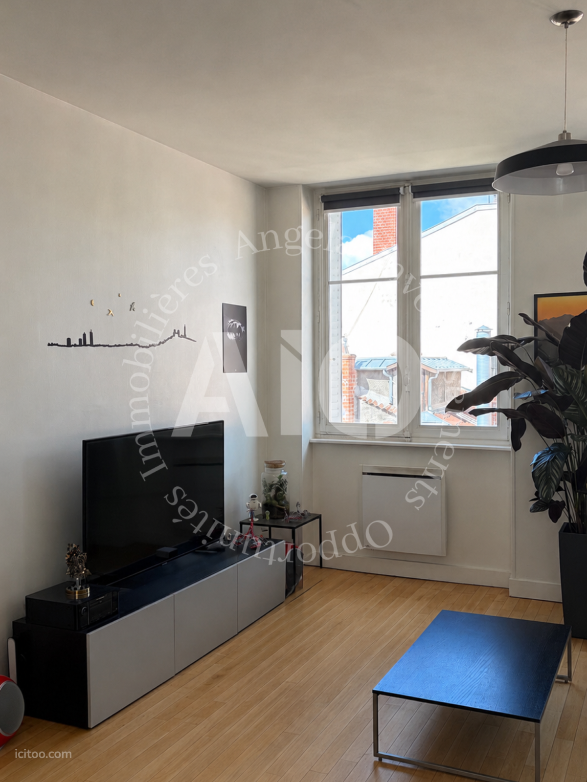 Salon lumineux avec parquet et télévision, appartement T3 traversant à vendre à Lyon.