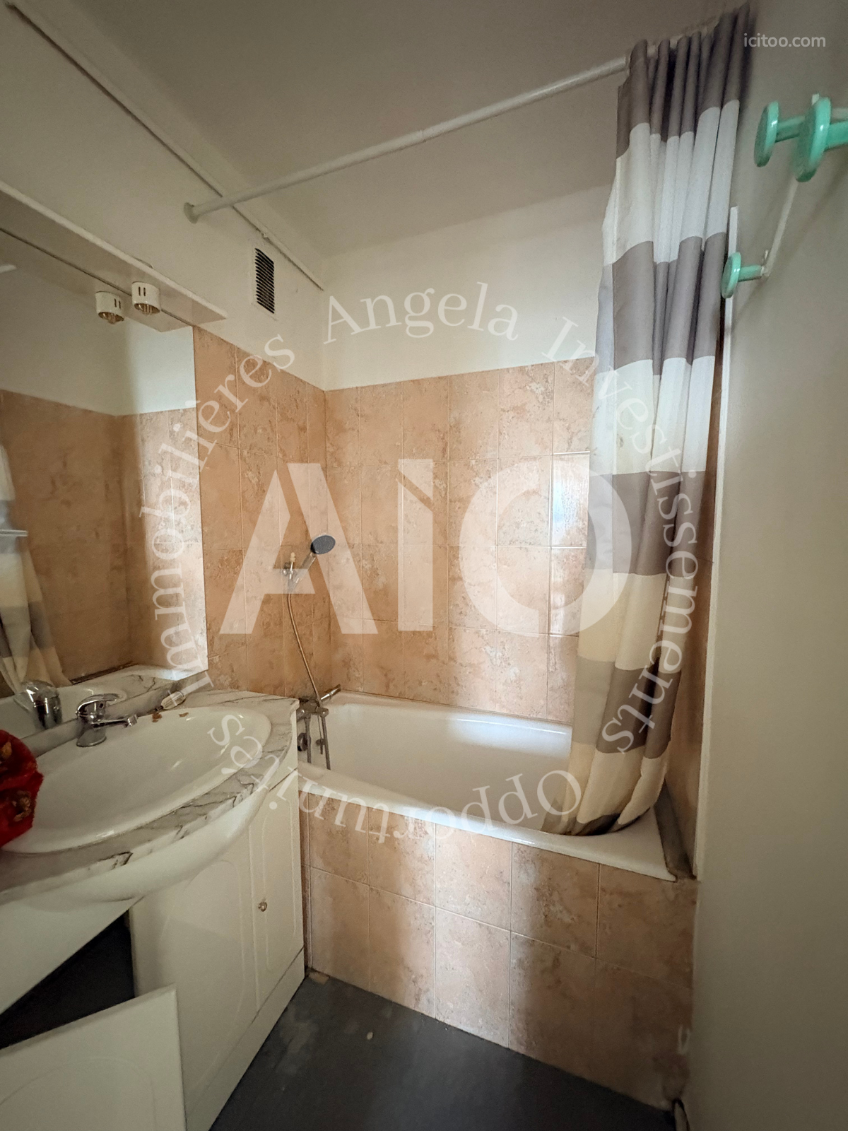 Salle de bain avec baignoire, douche et vasque, appartement T3 à vendre à Tassin-la-Demi-Lune.