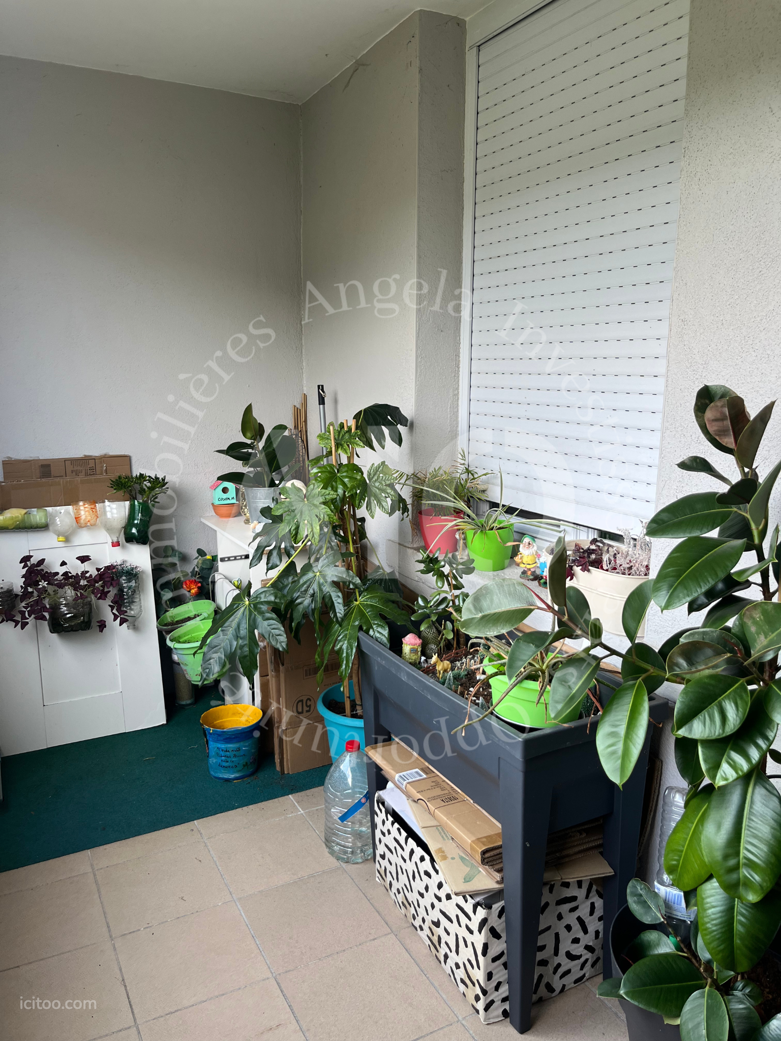 Appartement T3 traversant et lumineux de 52 m² avec balcon en centre ville — photo 4