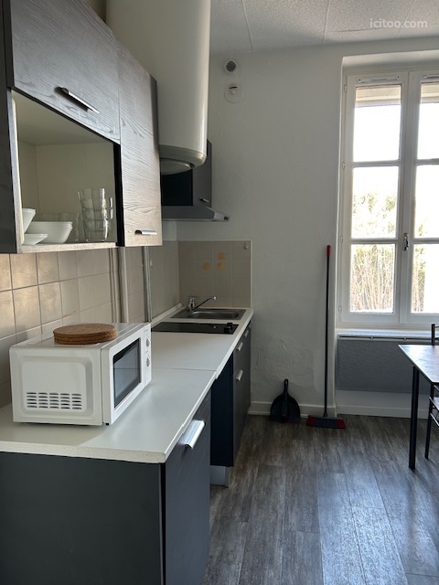 Cuisine aménagée et équipée avec meubles hauts et bas, évier et micro-ondes, appartement à vendre à Villeurbanne.