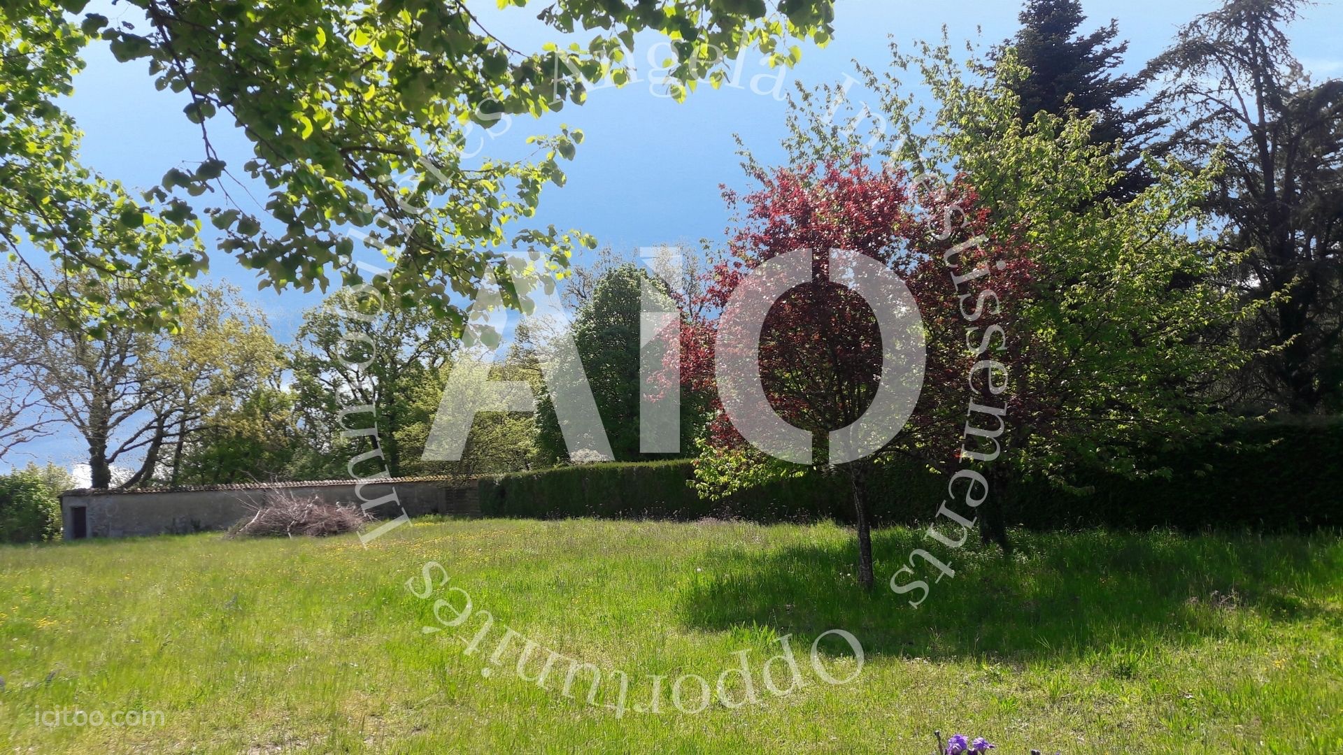 Jardin avec mur ancien et végétation luxuriante, maison à vendre à Villette d'Anthon.