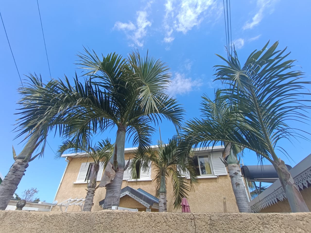 PITON SAINT LEU / IMMEUBLE DE 6 LOGEMENTS — photo 4