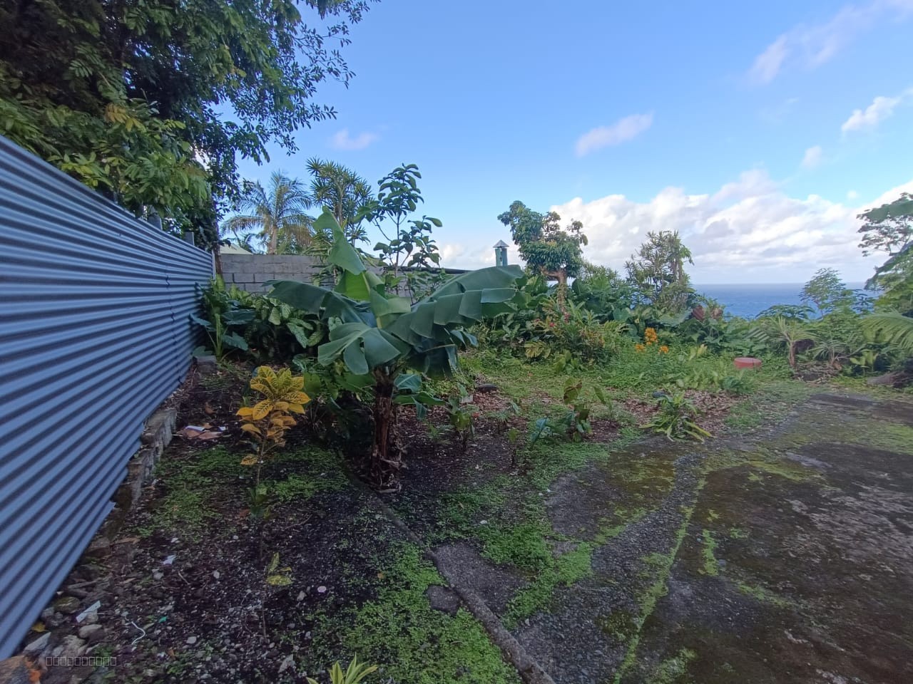 SAINTE ROSE / MAISON F4 DE PLAIN-PIED — photo 10