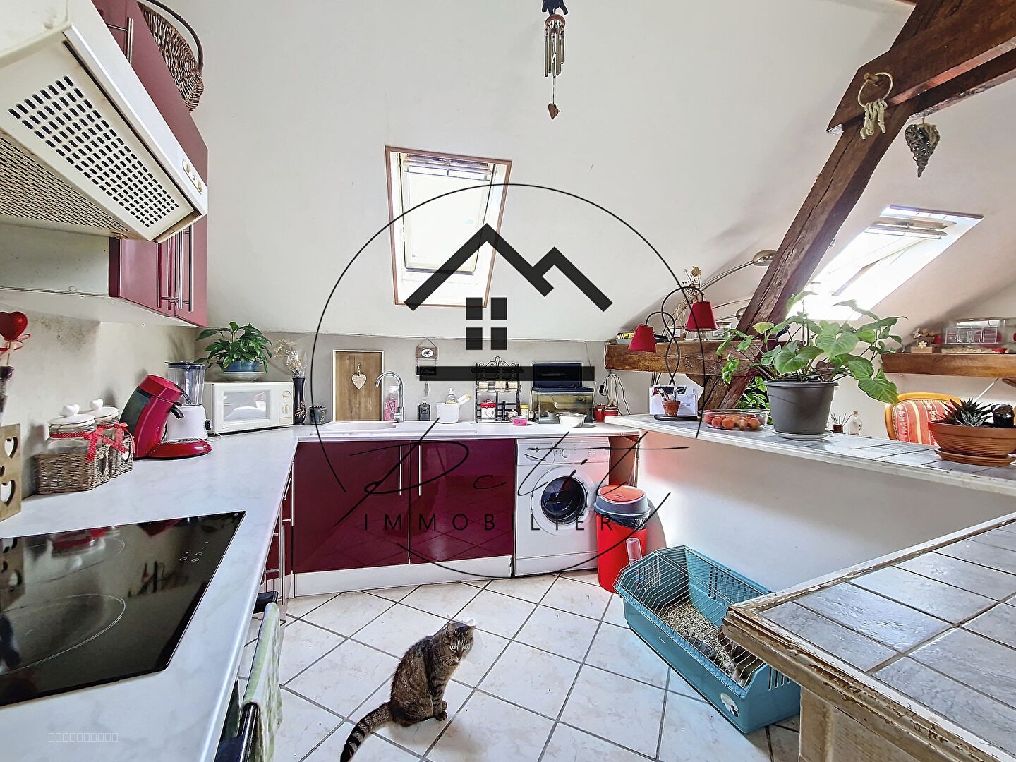 Immeuble de 2 appartements centre-ville, Clermont — photo 6
