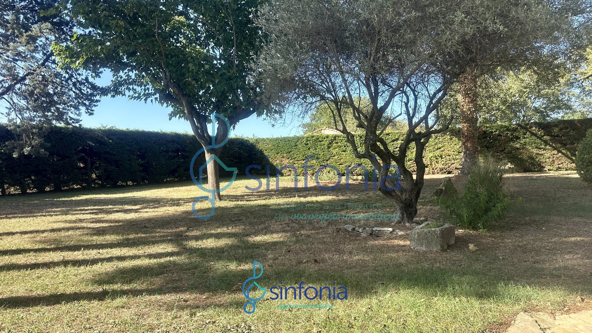 Maison individuelle sur 3080 m2 de terrain — photo 4