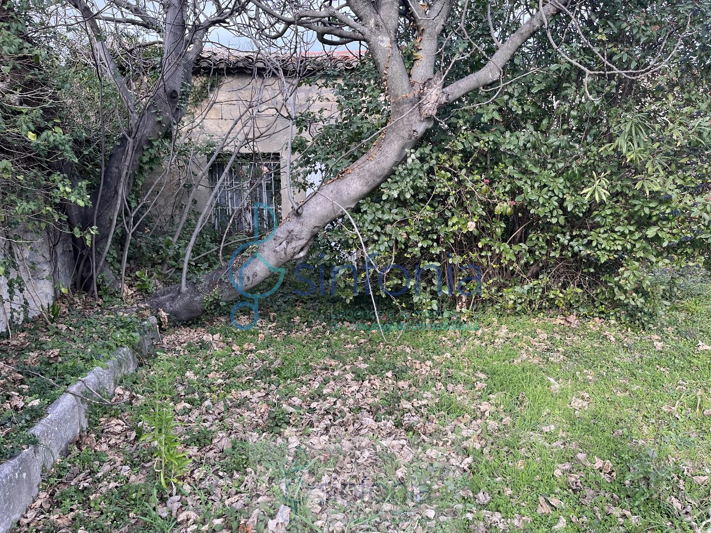 Projet spécial Promoteur ou Particulier visionnaire et ambitieux! Uzes centre ville — photo 9