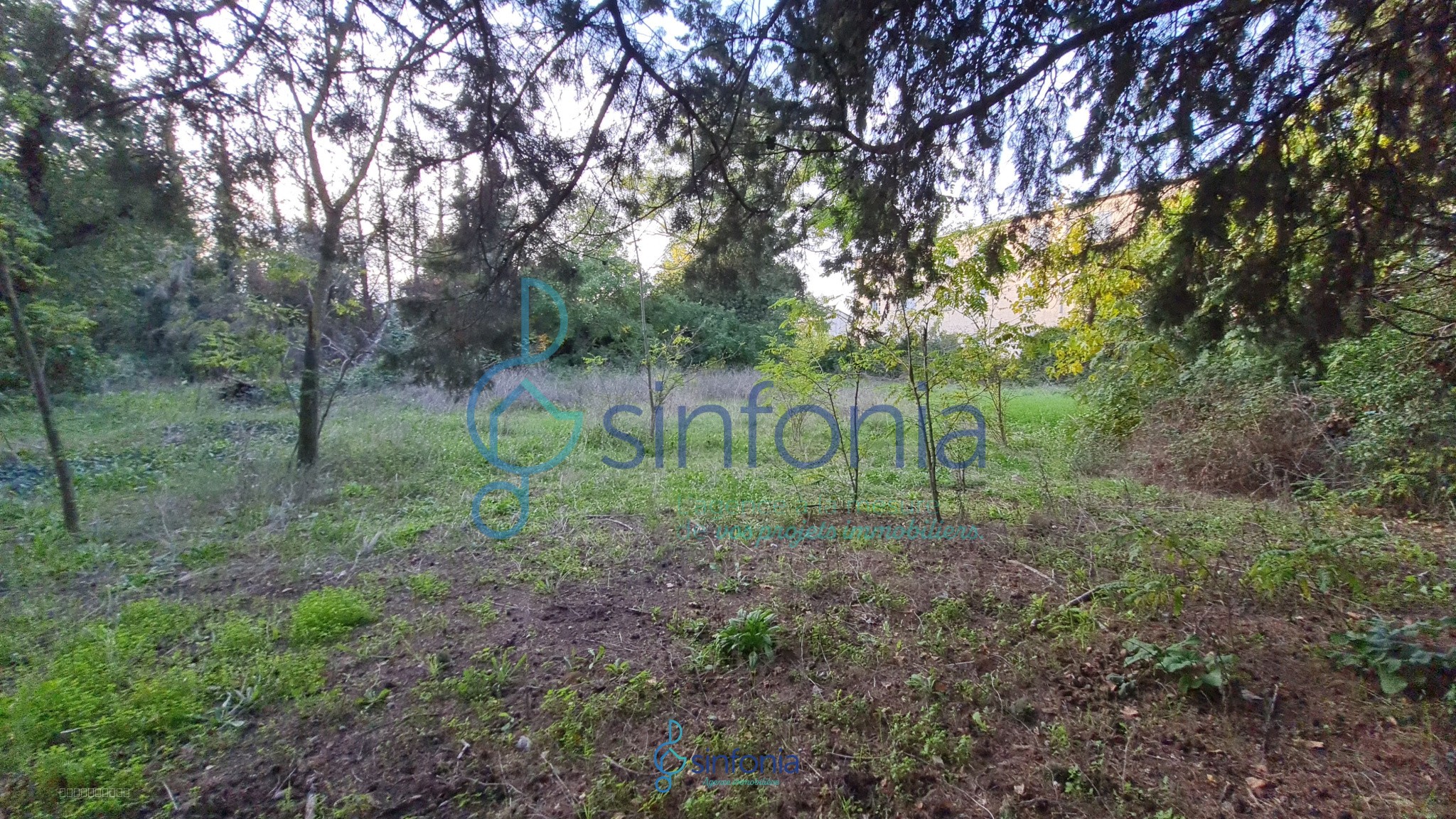 Grand Terrain constructible 2 000 M2 environ — photo 6