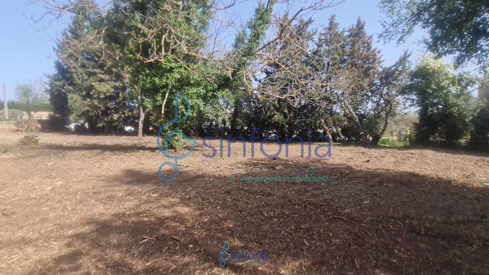 Grand Terrain constructible 2 000 M2 environ — photo 2