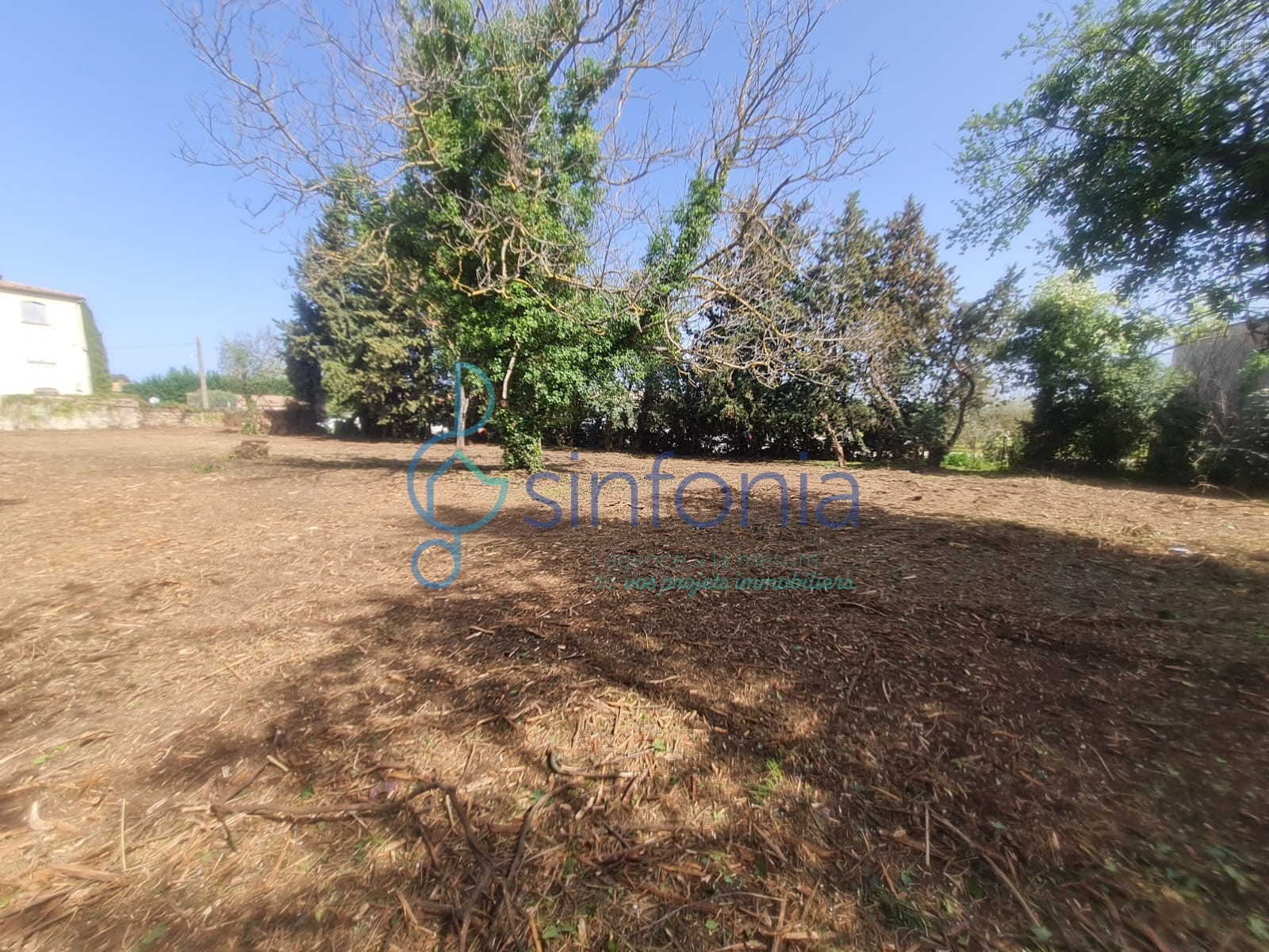 Grand Terrain constructible 2 000 M2 environ — photo 3