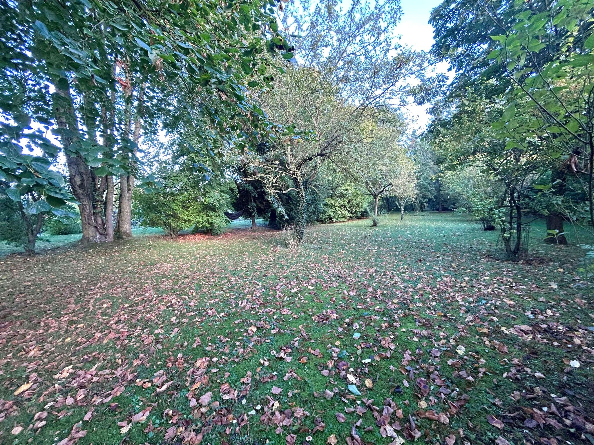 PROCHE AIRAINES LONGERE AVEC UN HECTARE DE PATURE — photo 14