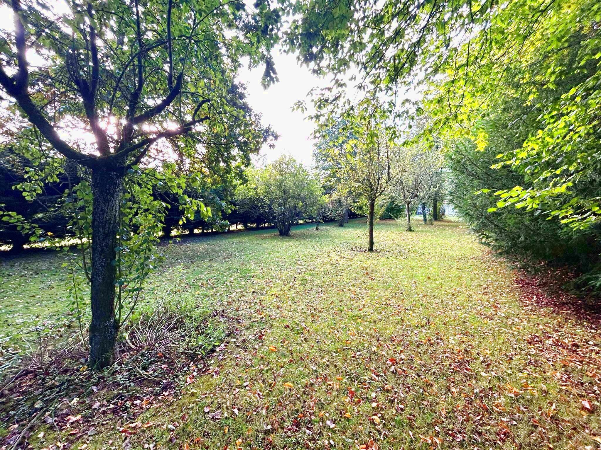 PROCHE AIRAINES LONGERE AVEC UN HECTARE DE PATURE — photo 15