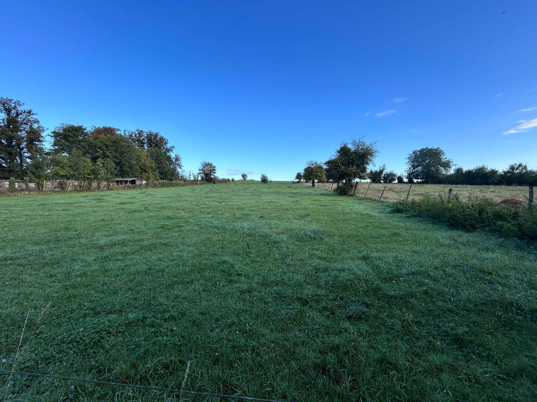 PROCHE AIRAINES LONGERE AVEC UN HECTARE DE PATURE — photo 16