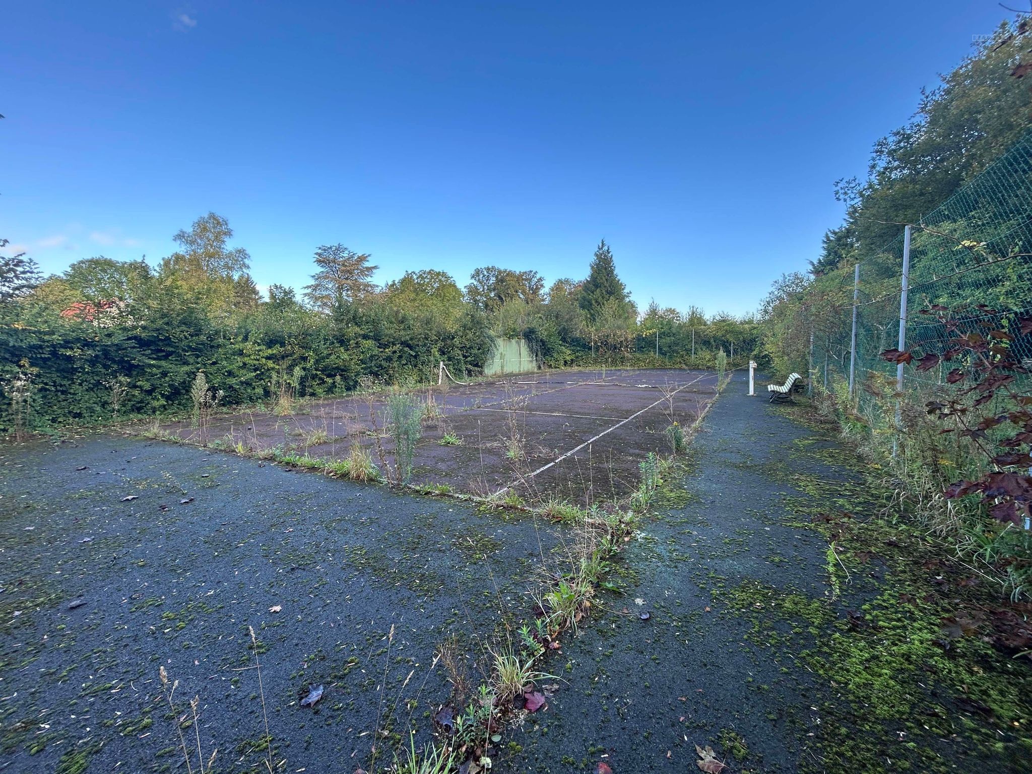 PROCHE AIRAINES LONGERE AVEC UN HECTARE DE PATURE — photo 13