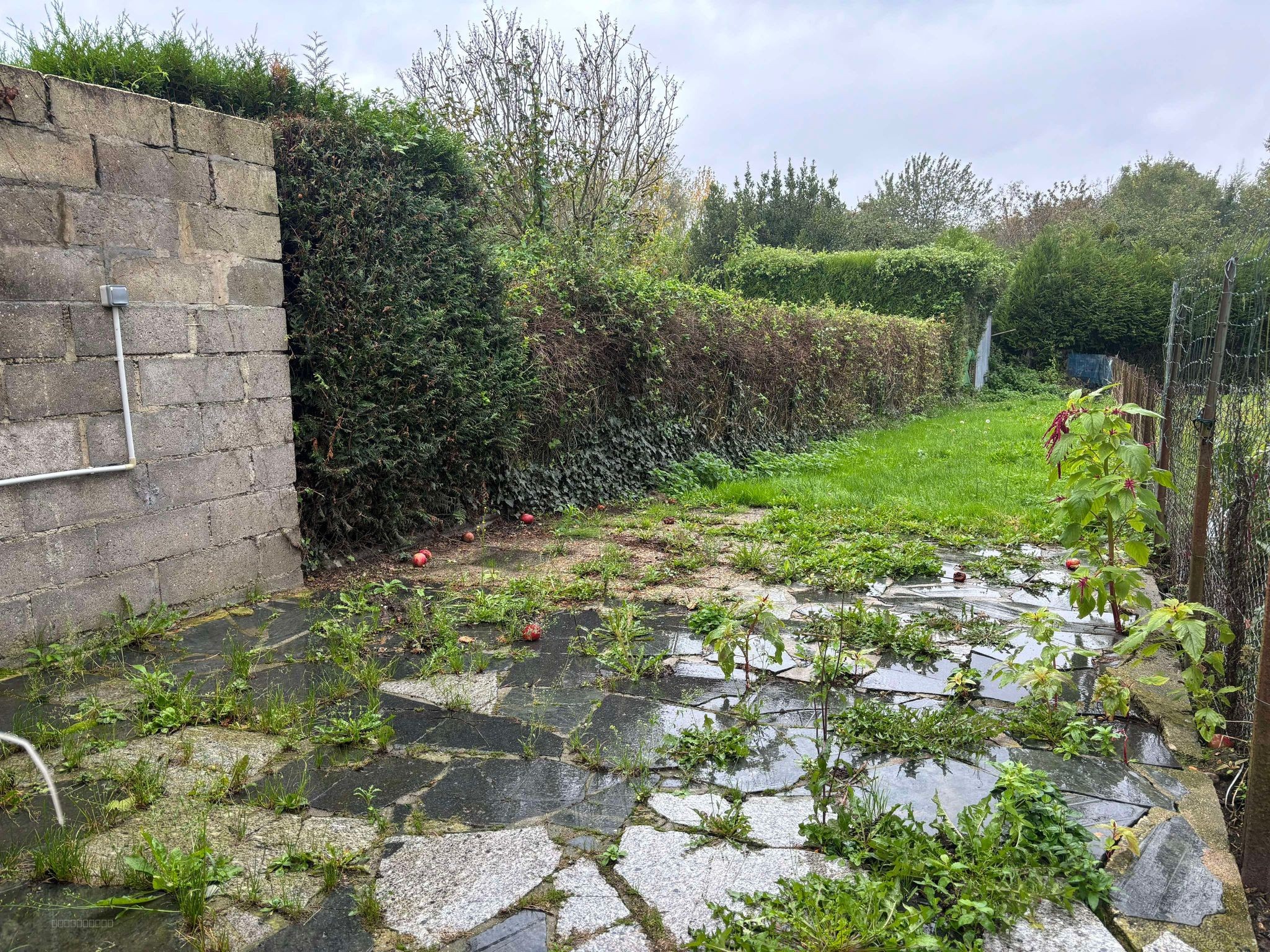 NOUVEAUTE MAISON DE VILLE PROCHE GARE ET AUTOROUTE A28 — photo 6