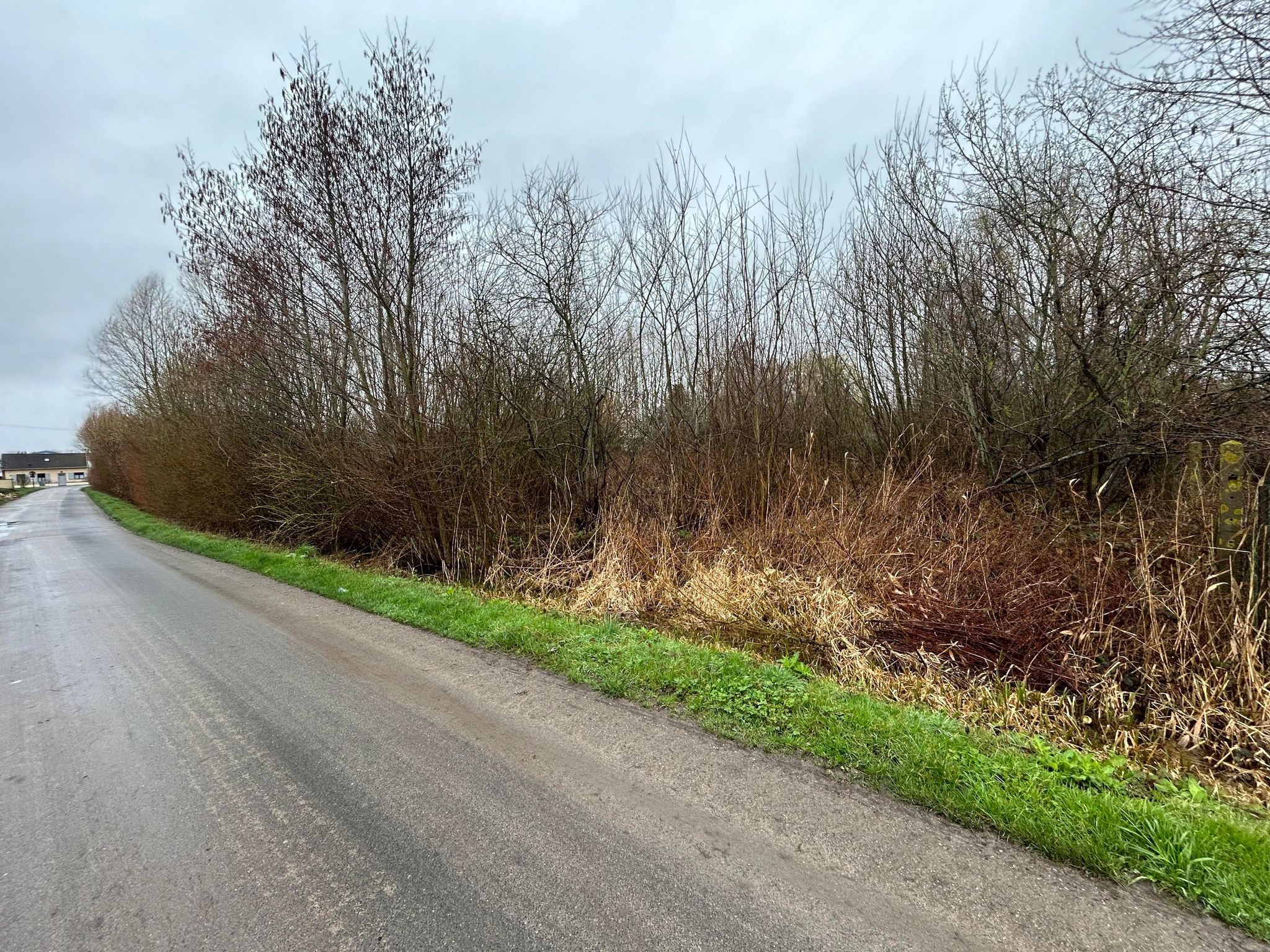 NOUVEAUTE : TERRAIN A BATIR NON VIABILISE SECTEUR PONT REMY — photo 2