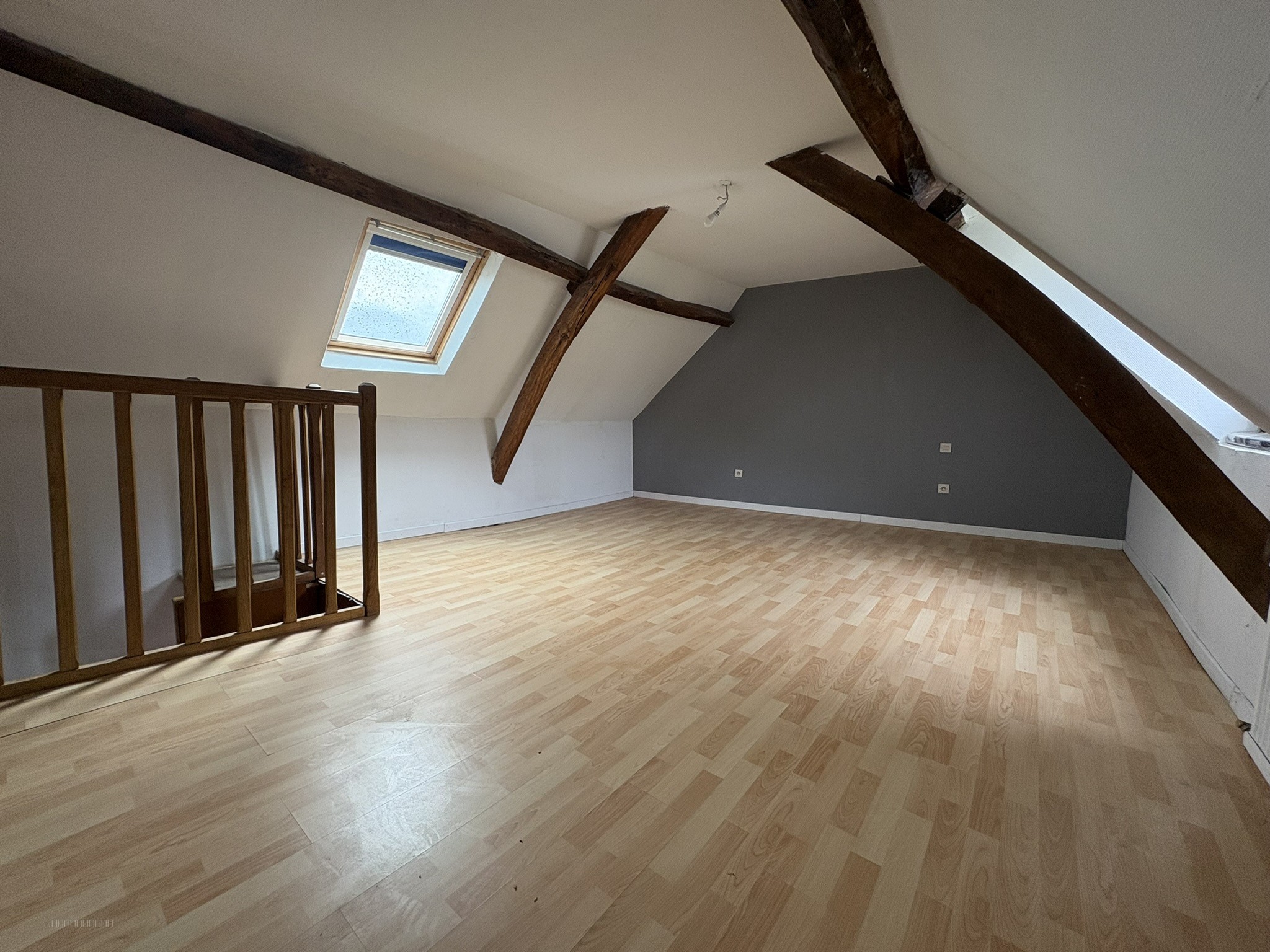 NOUVEAUTE EN EXCLUSIVITE MAISON SITUEE SUR AIRAINES — photo 6