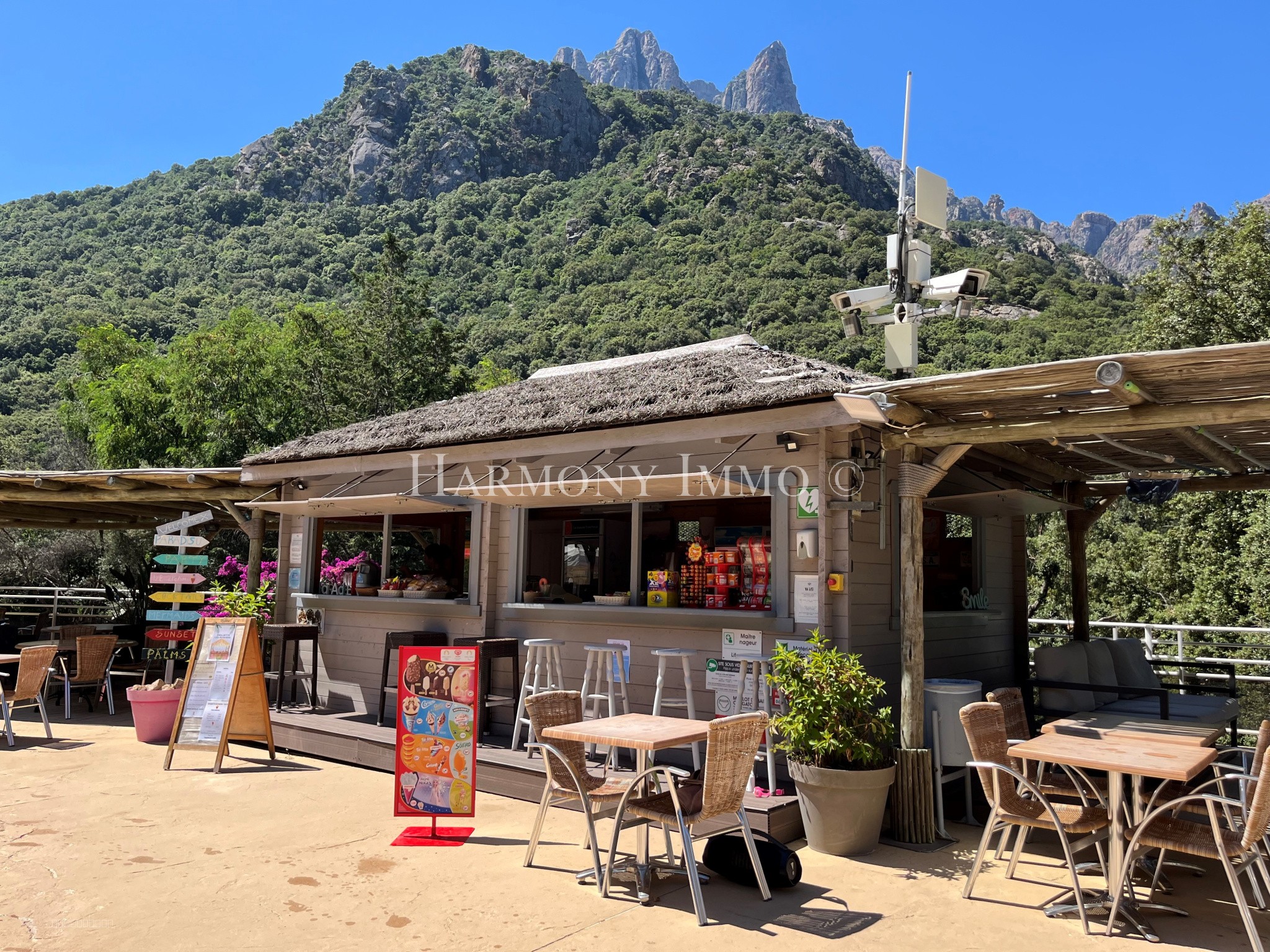 Murs et Fonds, Hotel de Plein air Corse cote Ouest — photo 6