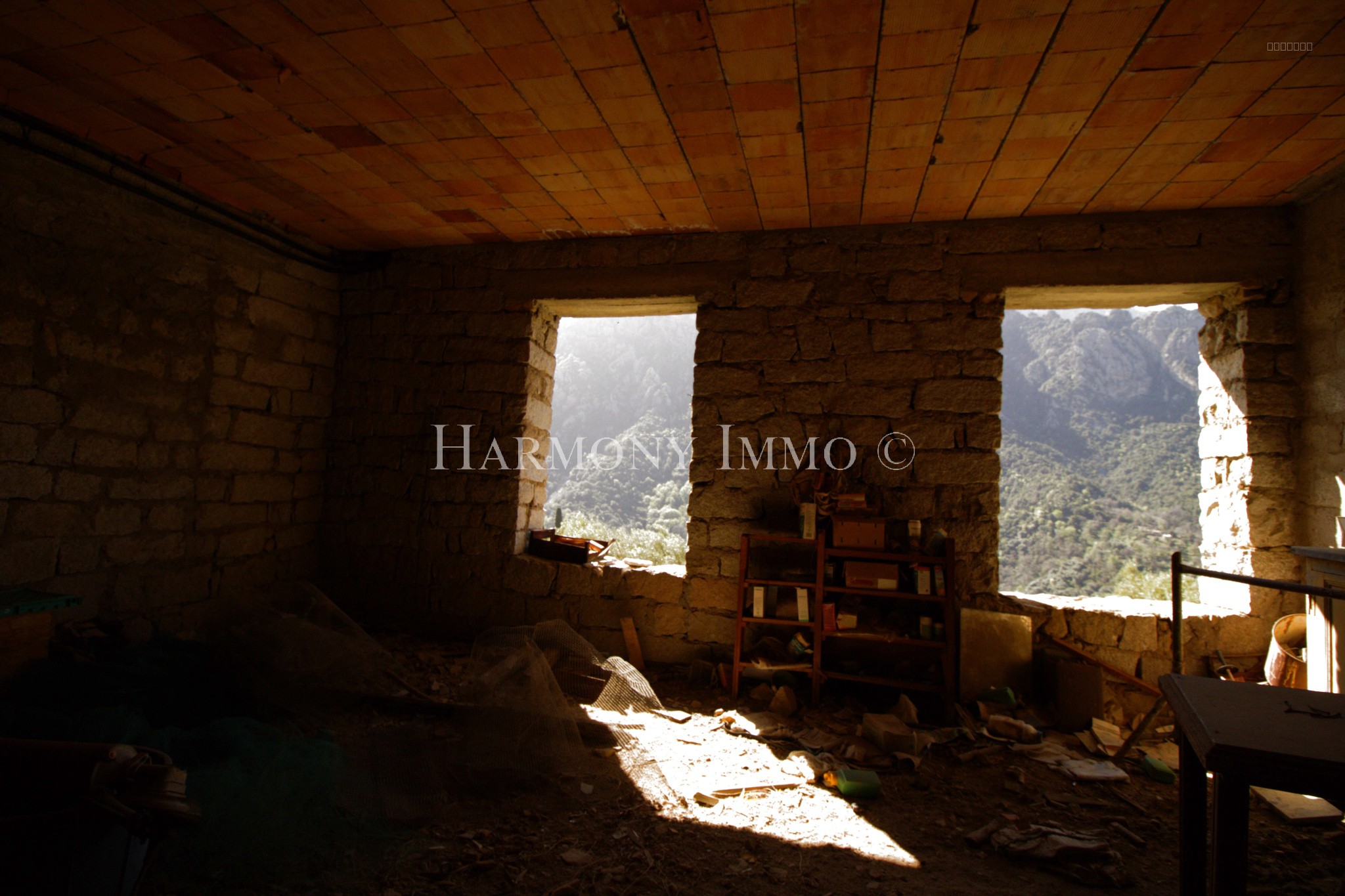 Exclusivité : Immeuble — photo 13