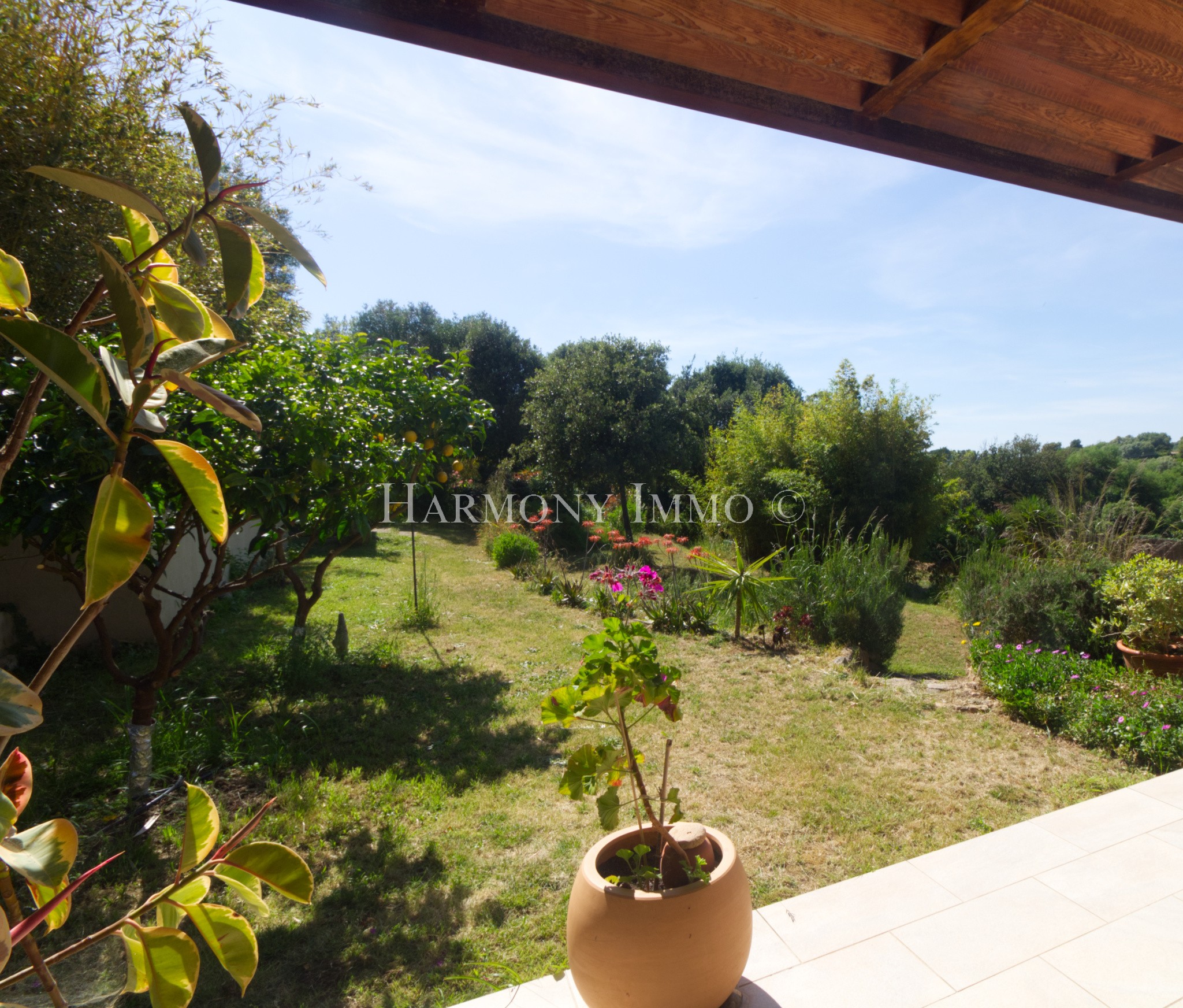 Sagone - Duplex 40m2 Pieds dans l'Eau - Plage à 20m - Terrasse & Jardin — photo 2