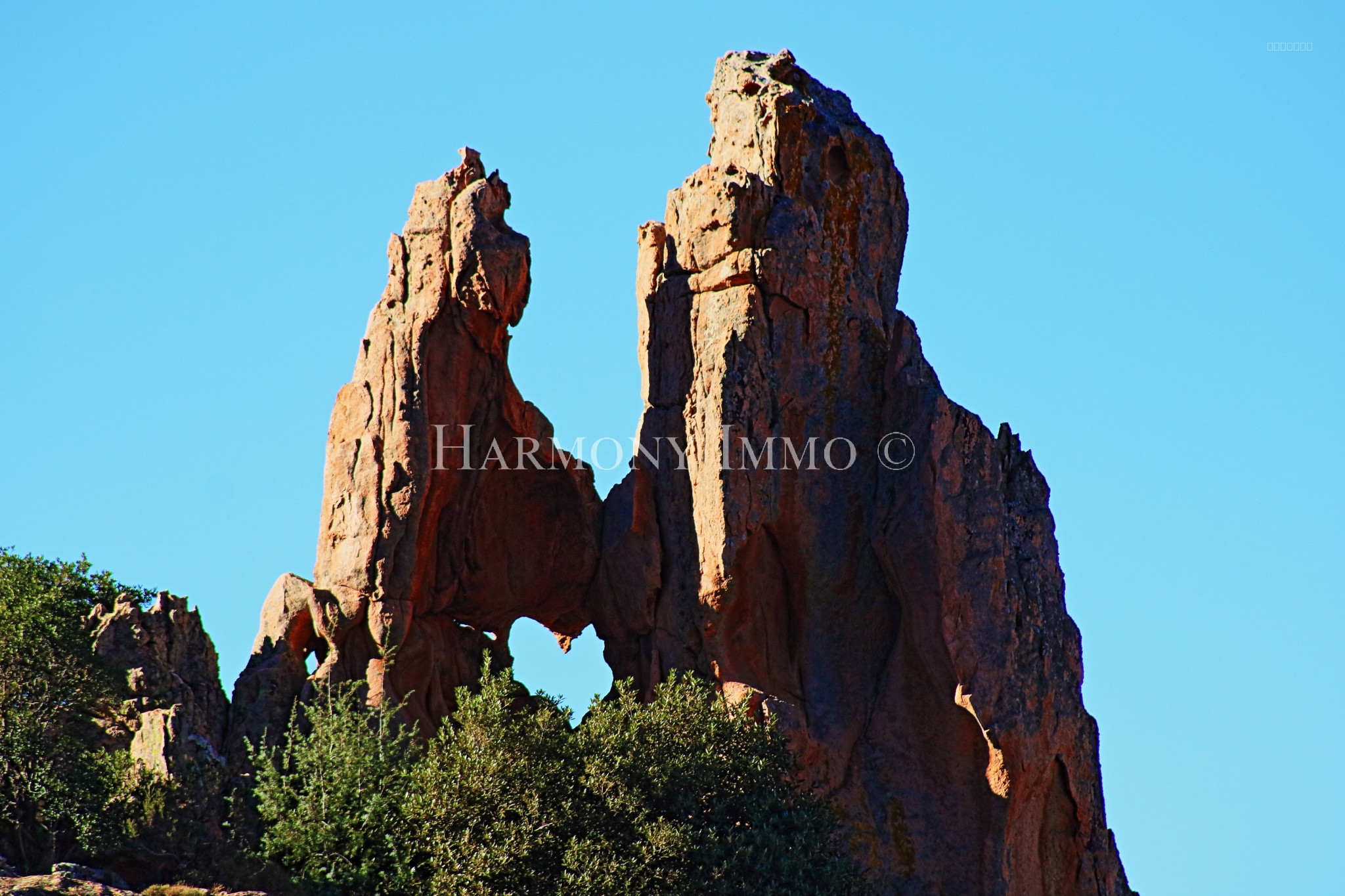 Terrain avec vue panoramique mer et montagnes — photo 5