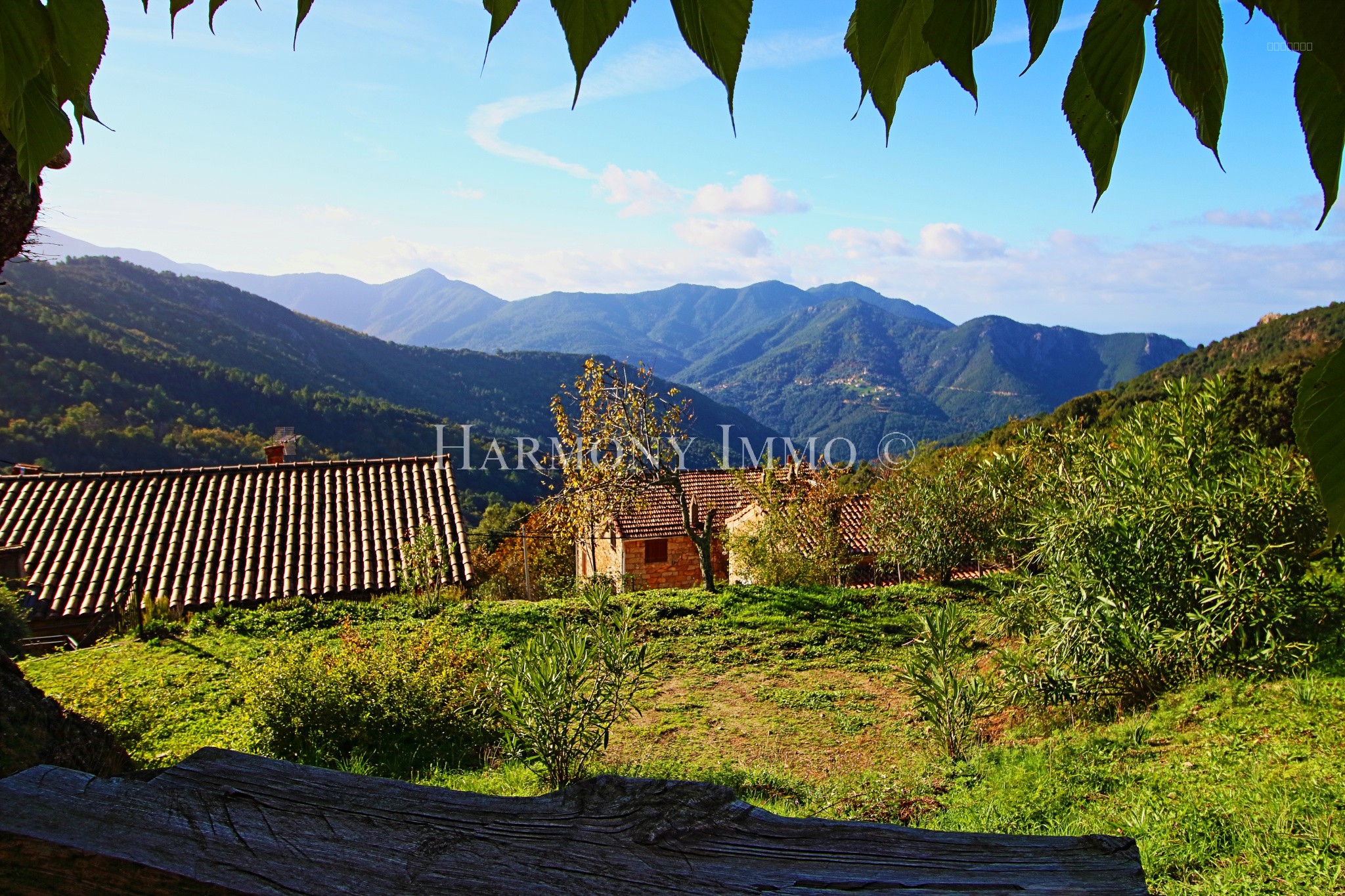 L'Âme de la Corse à Rosazia . Idéal Maison famille ou création Gîte, Chambres d'hôtes. — photo 3